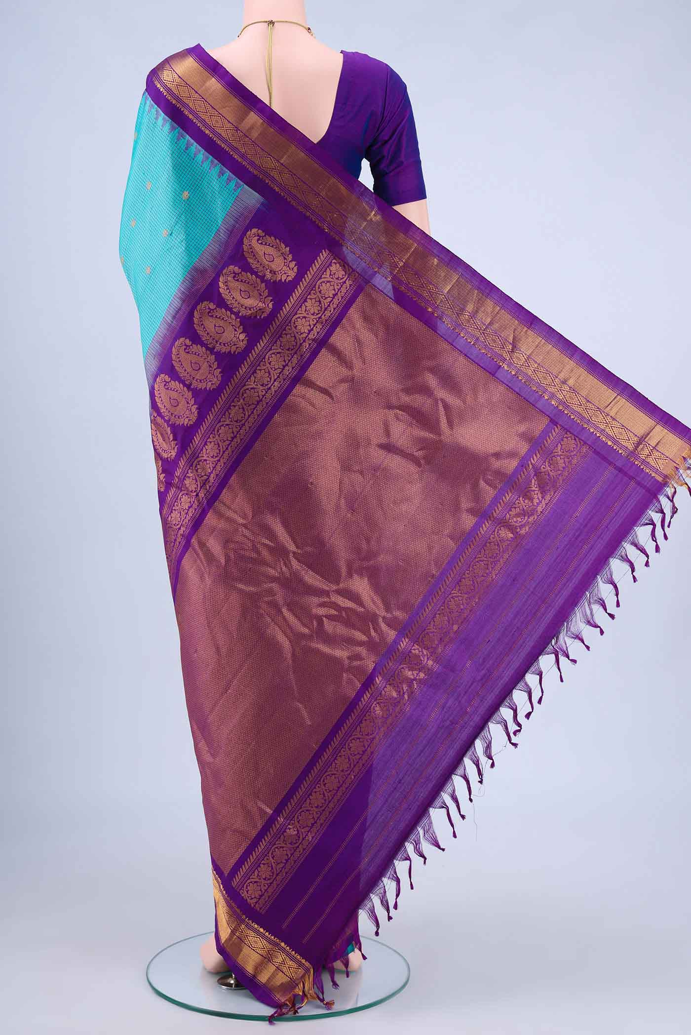 pallu body