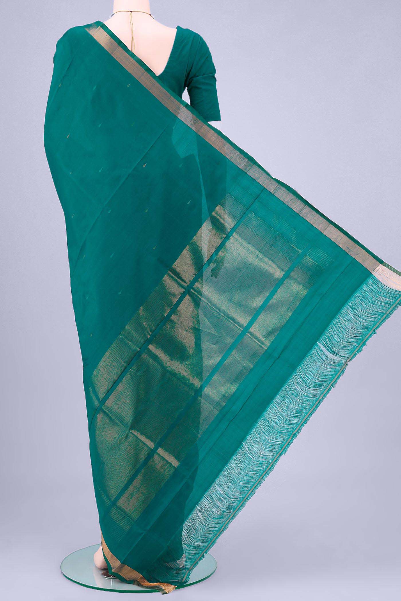 pallu body