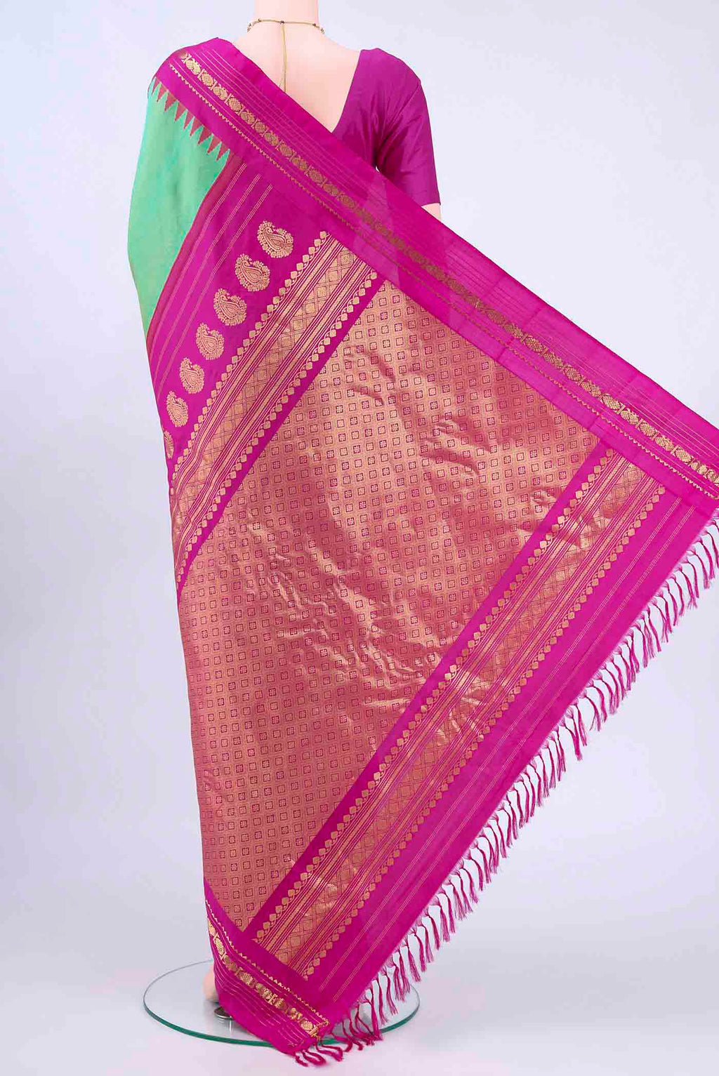pallu body