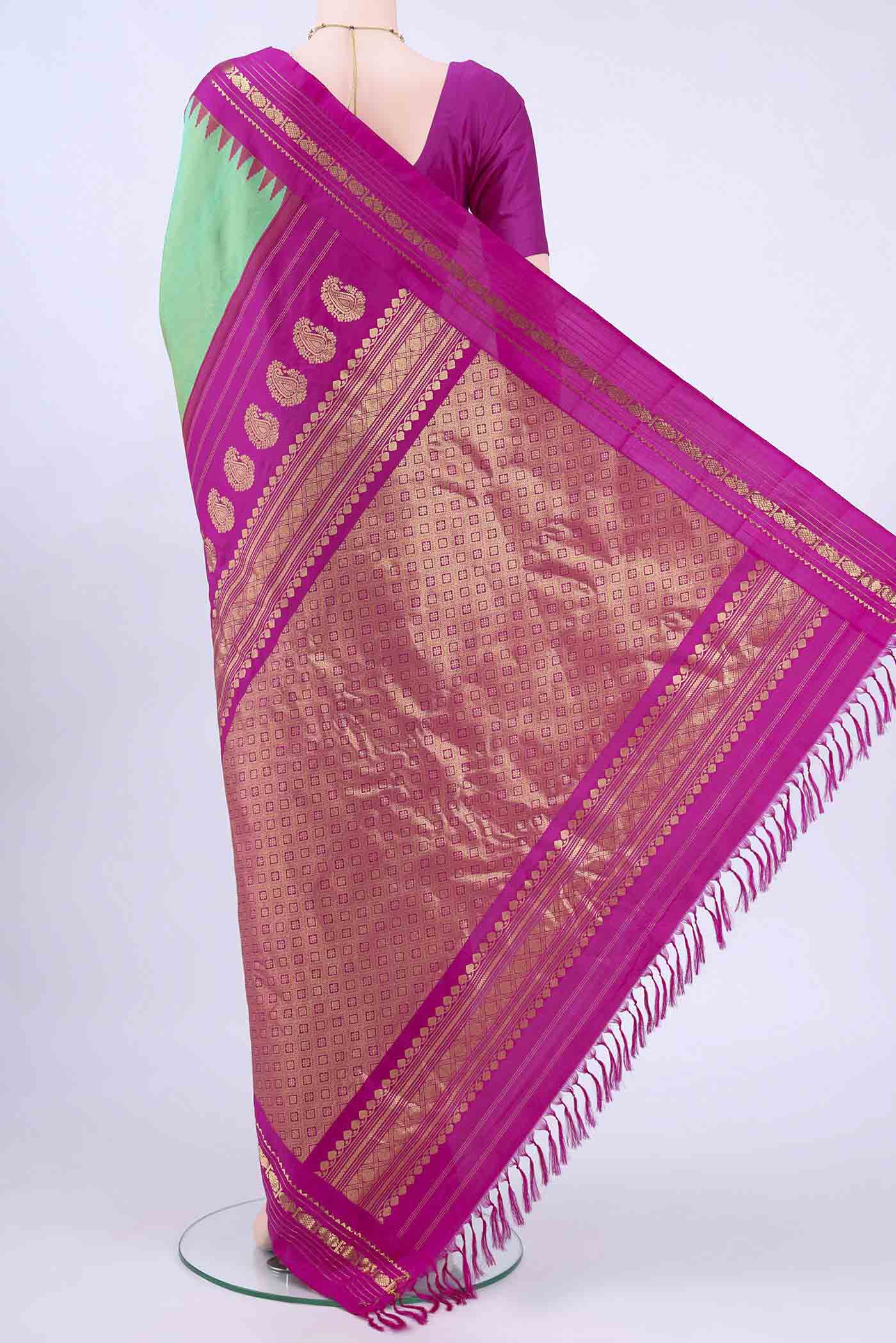 pallu body