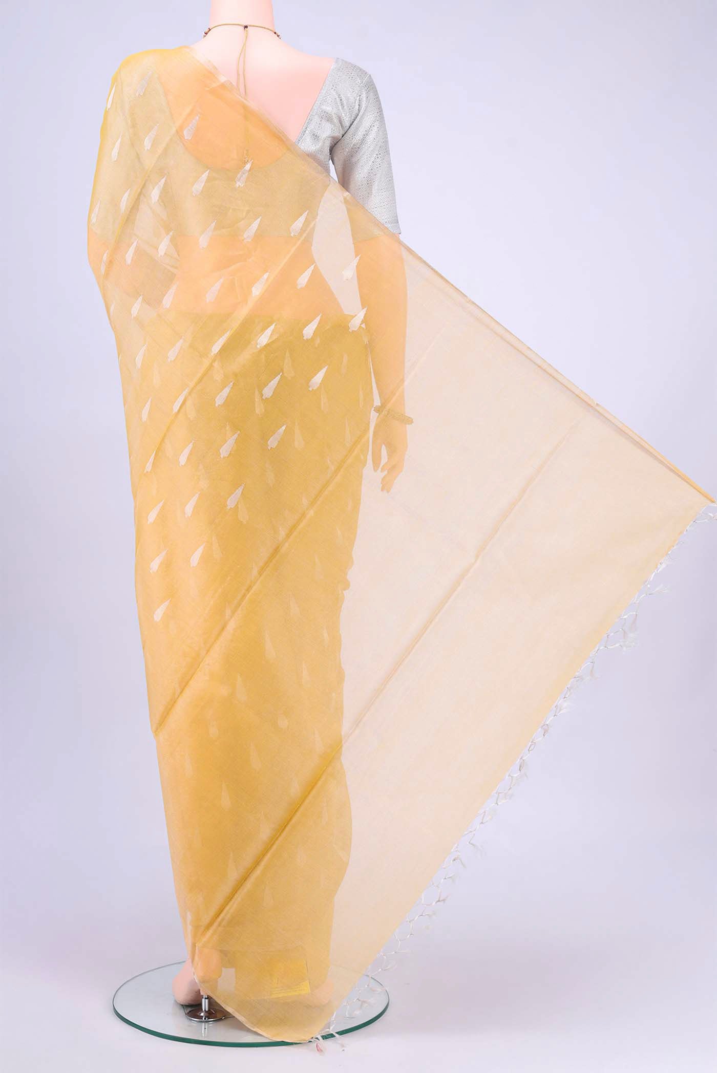 pallu body