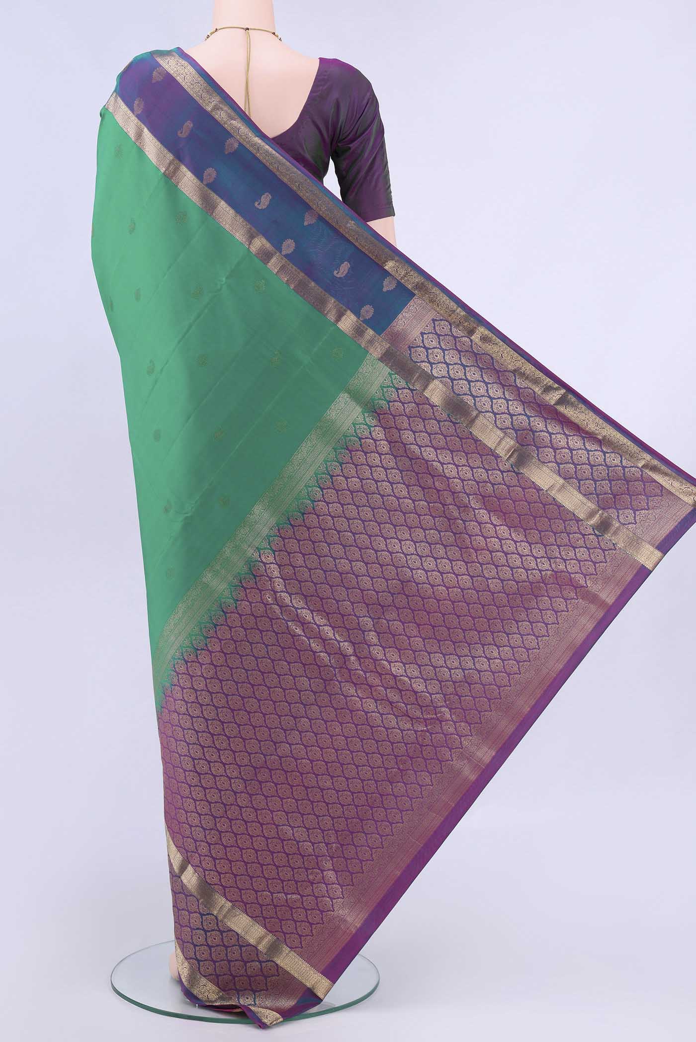 pallu body