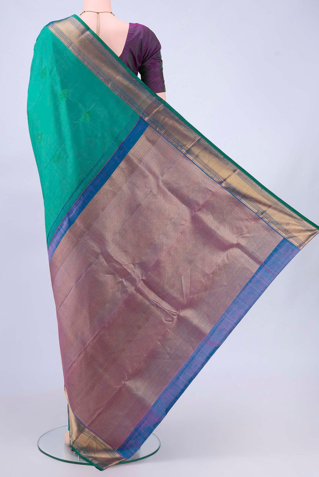 pallu body