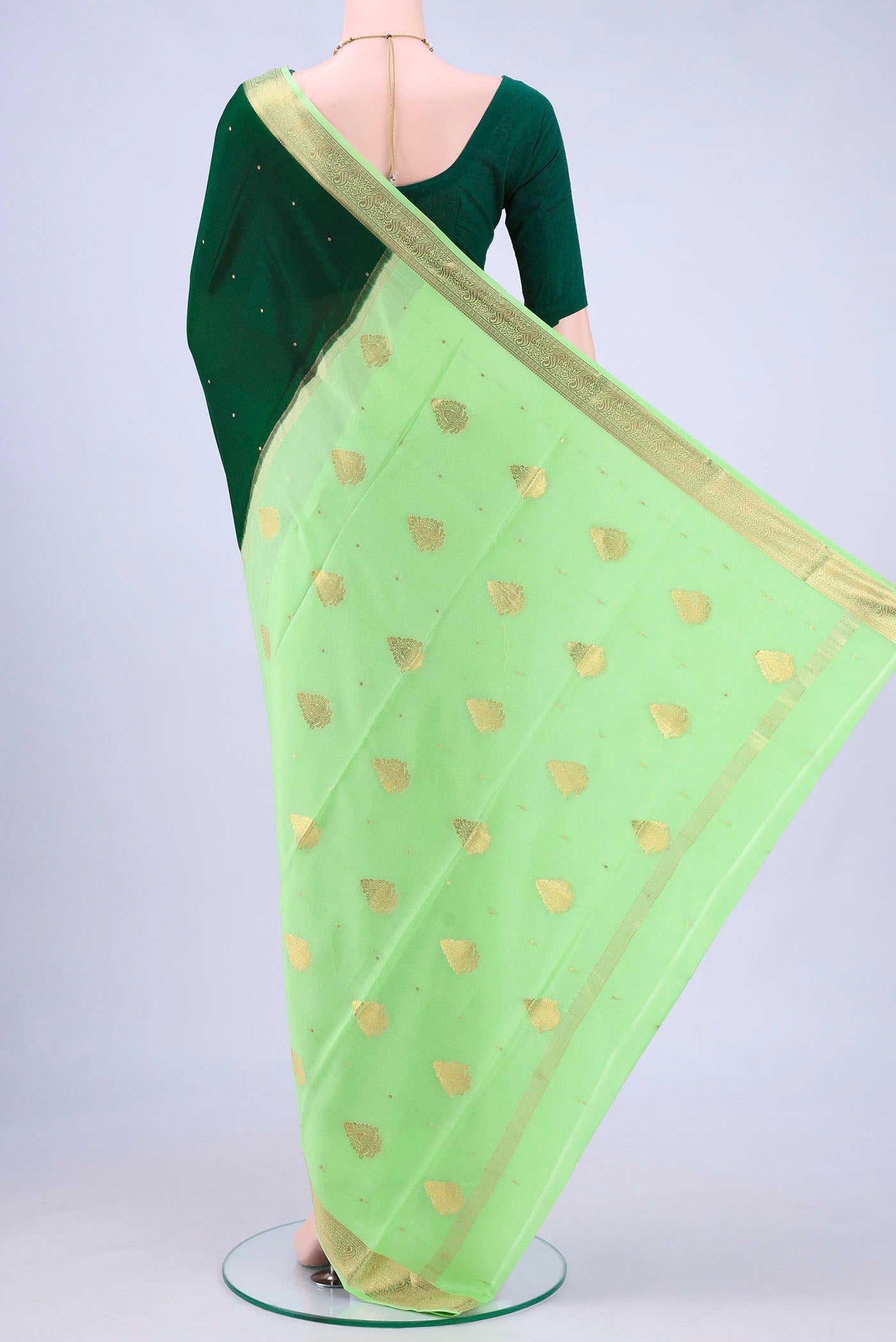 pallu body