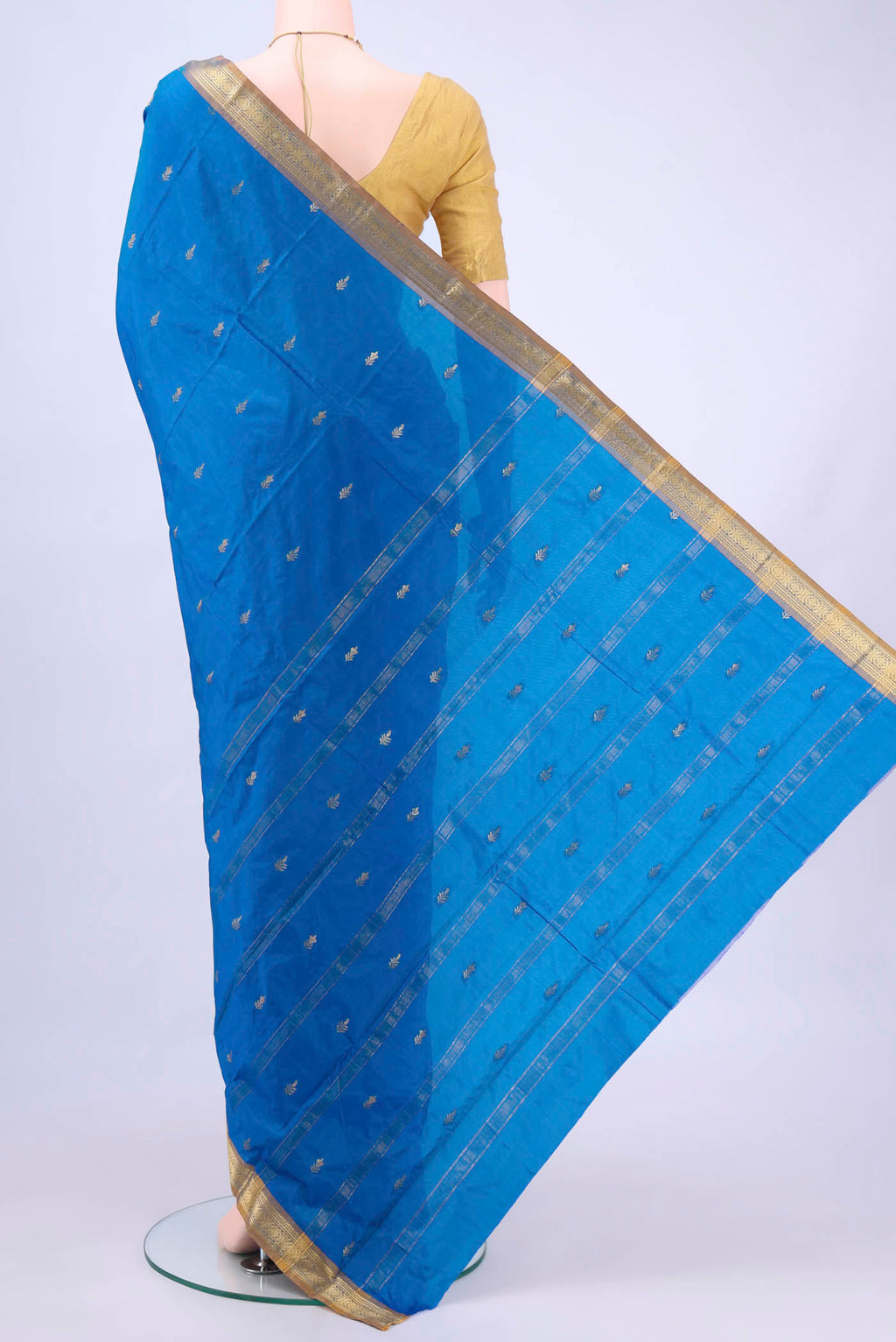 pallu body