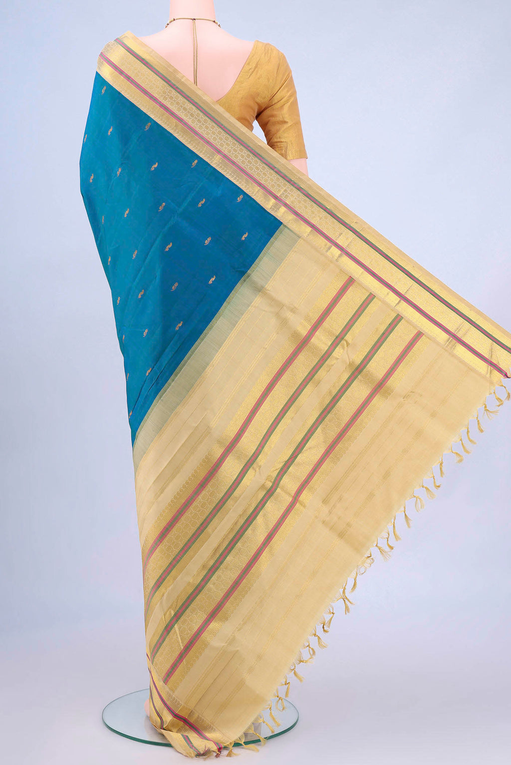 pallu body