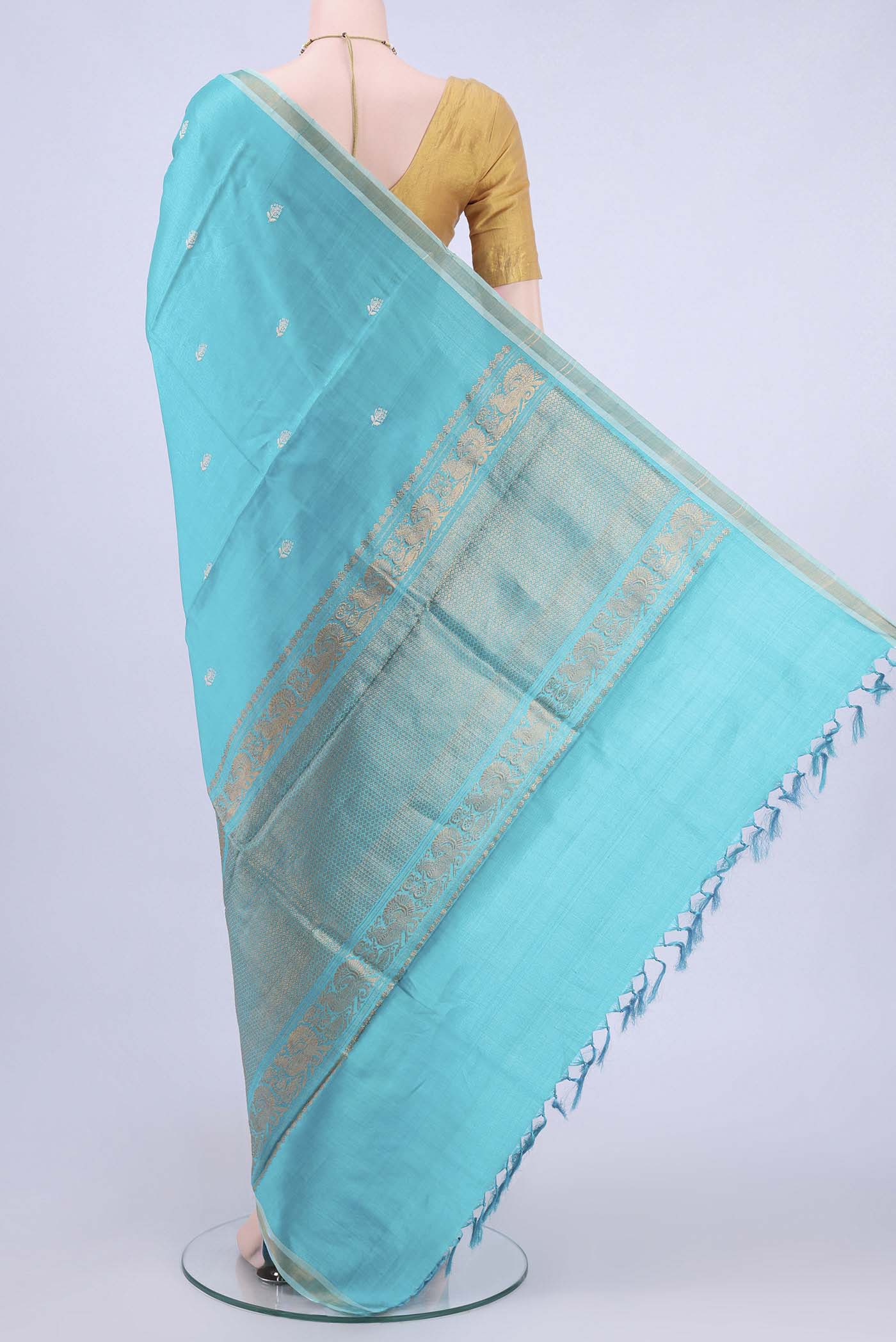 pallu body