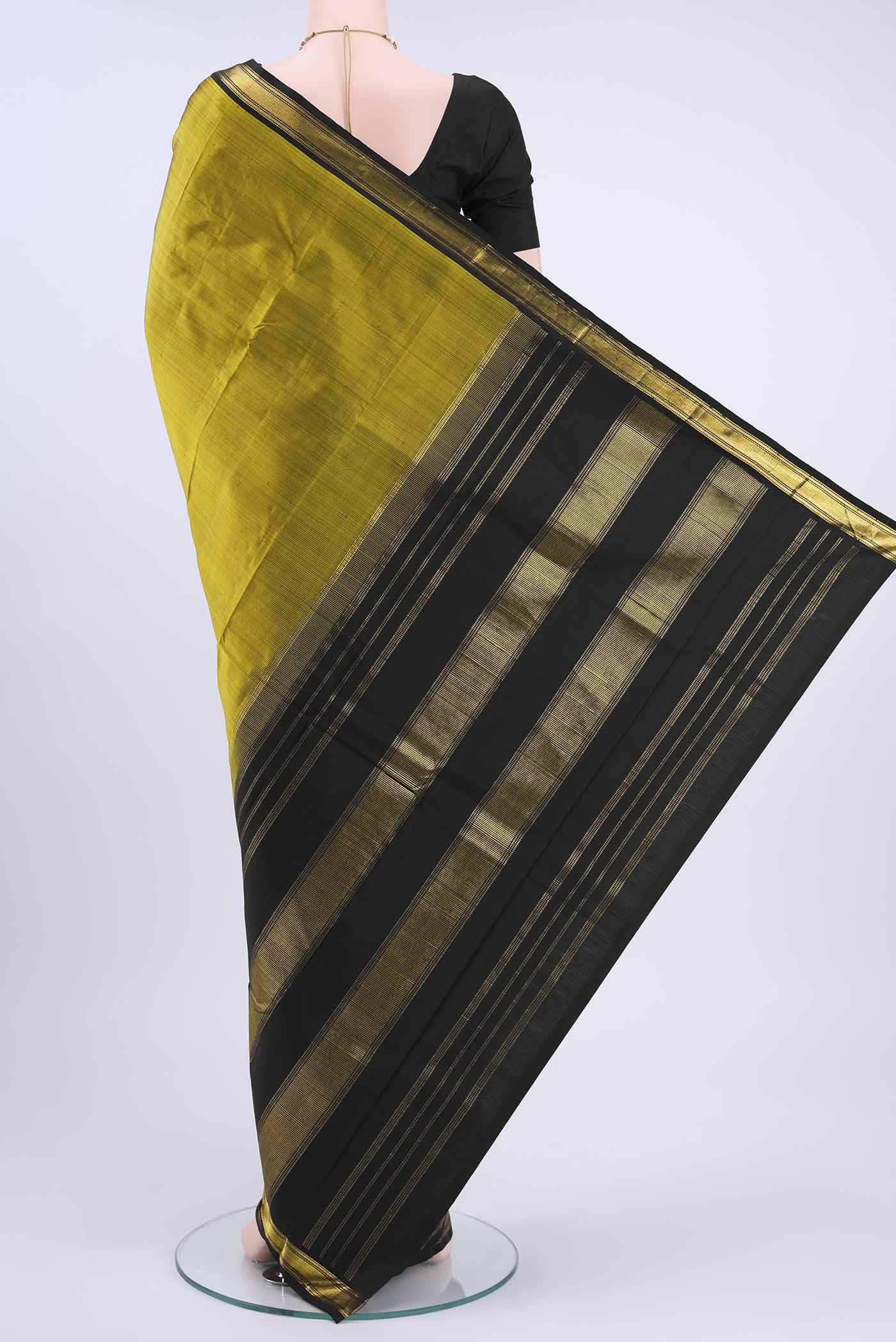 pallu body