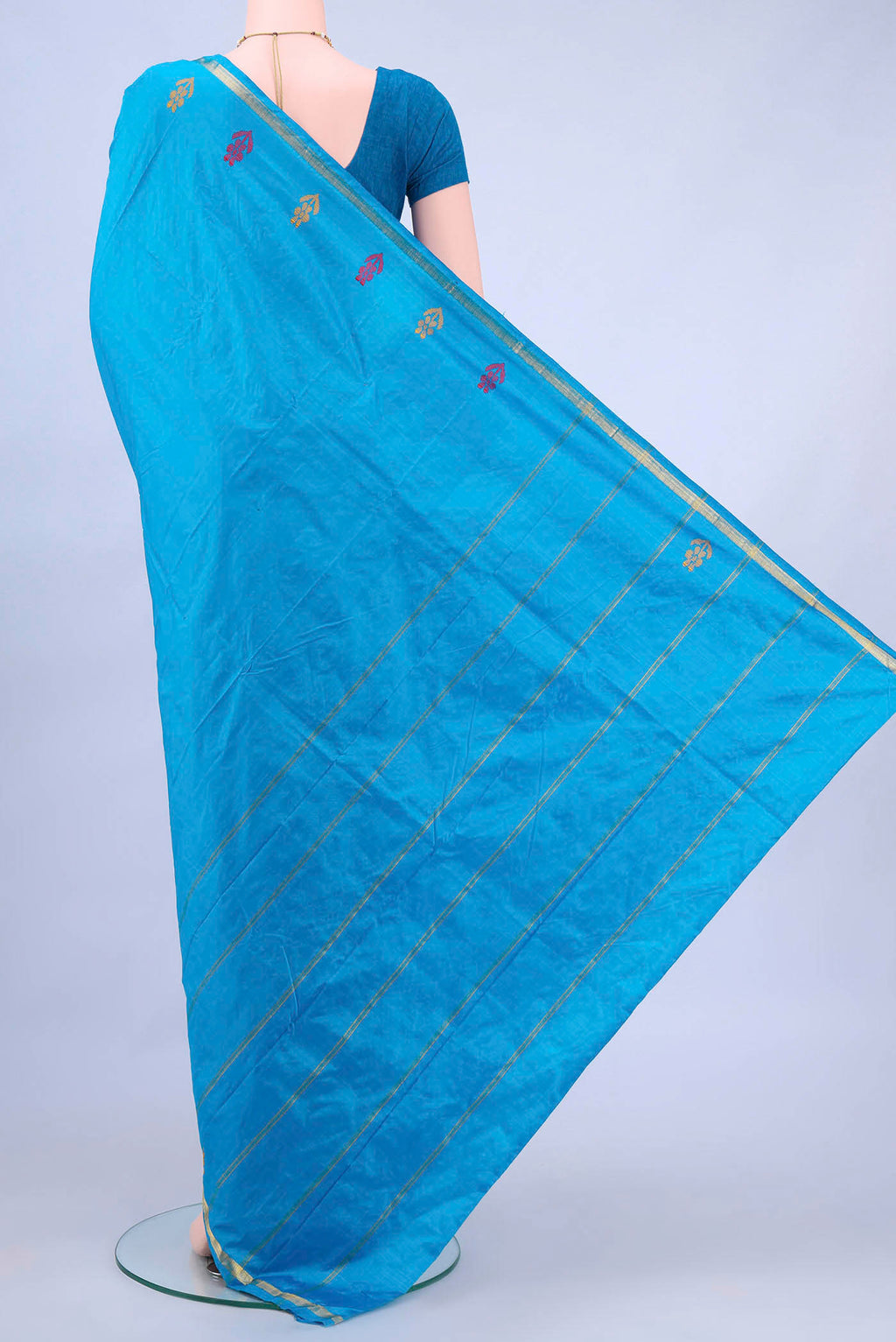 pallu body