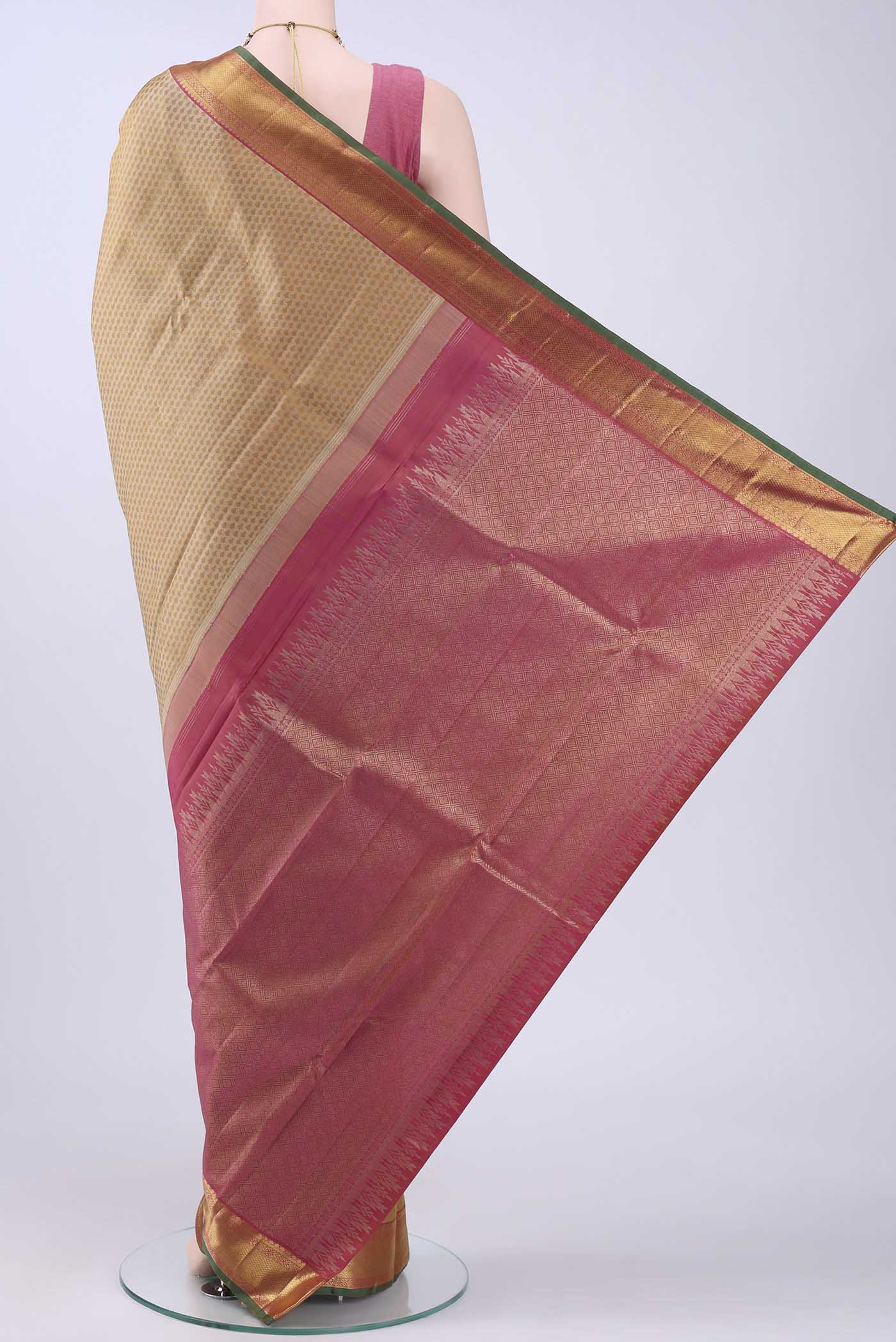 pallu body