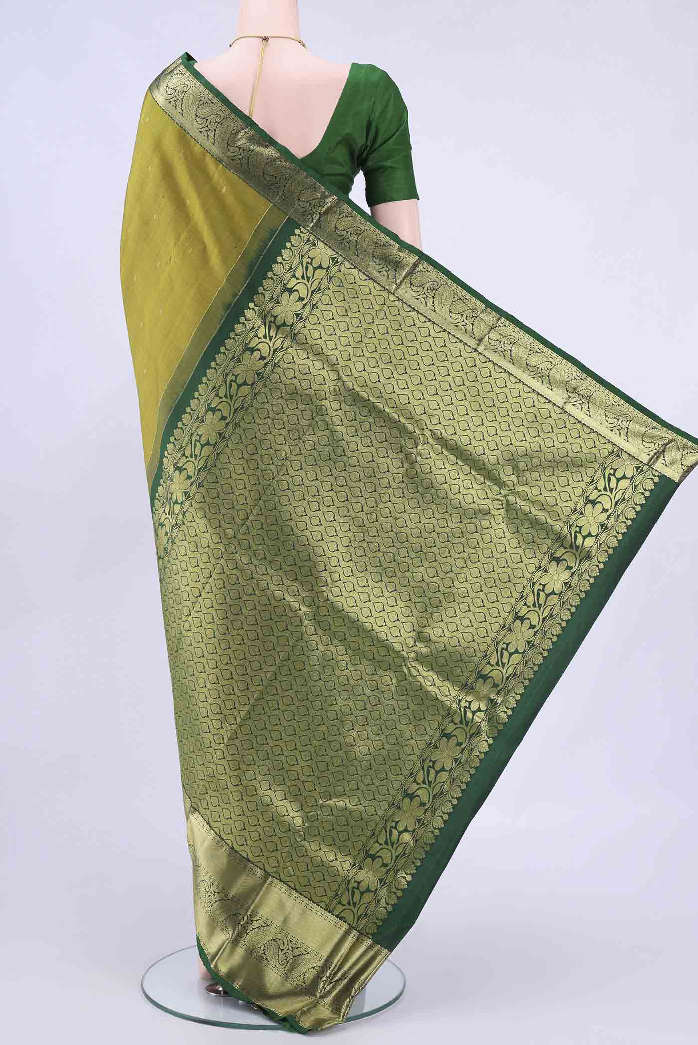 pallu body