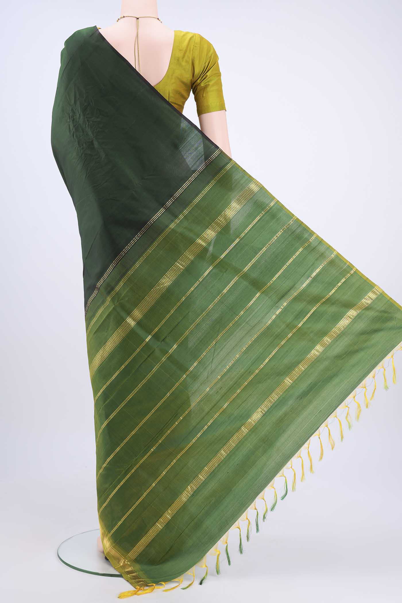 pallu body