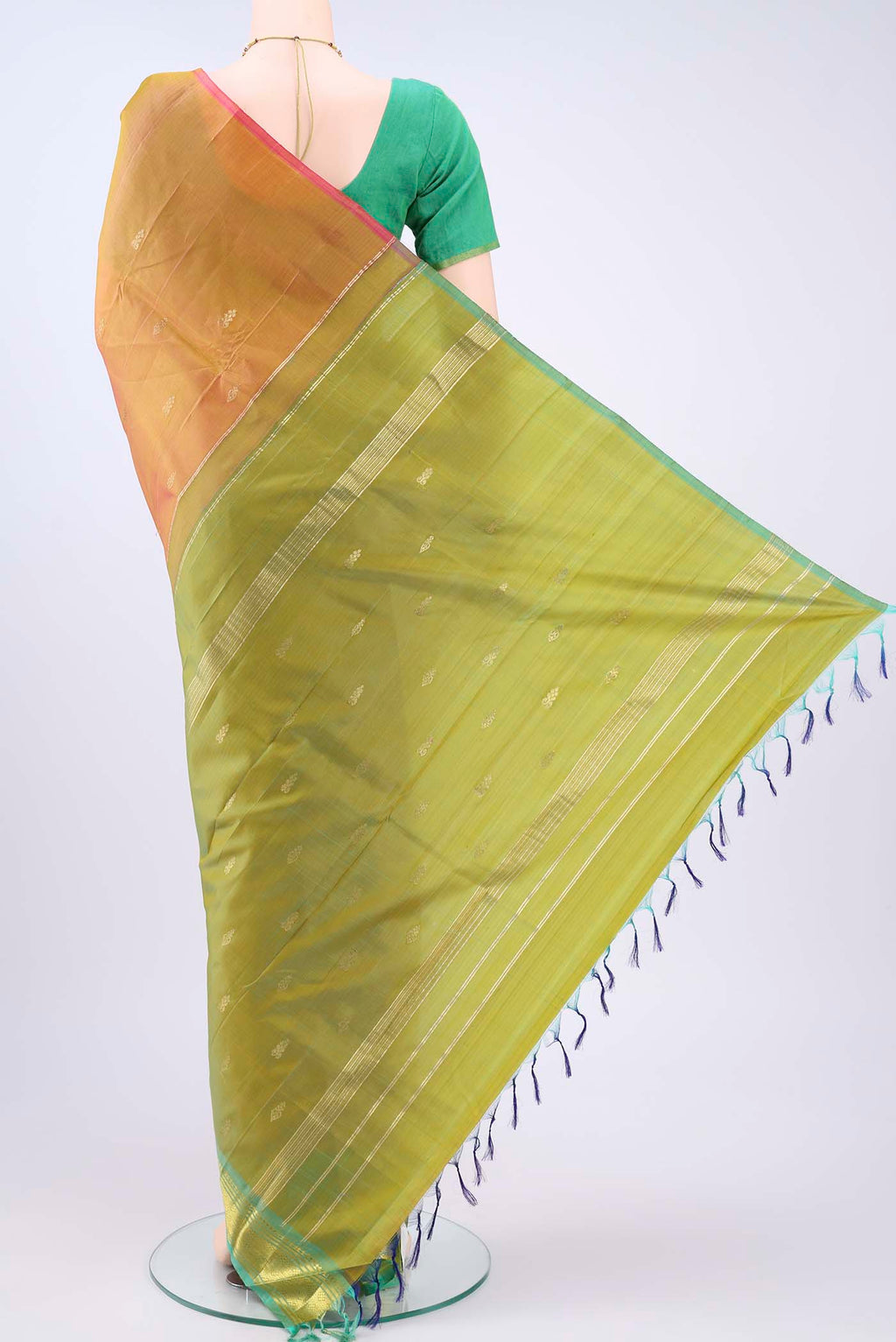 pallu body