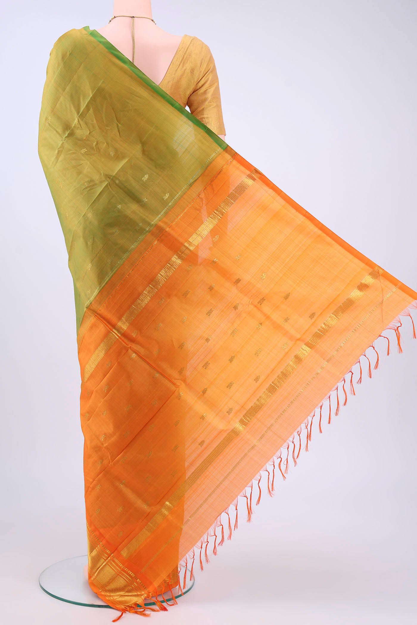 pallu body