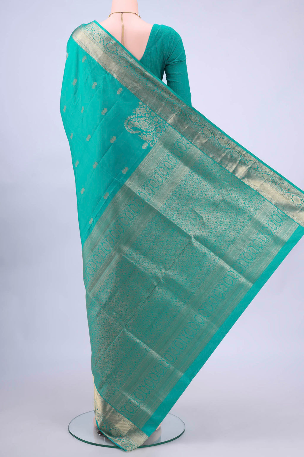 pallu body