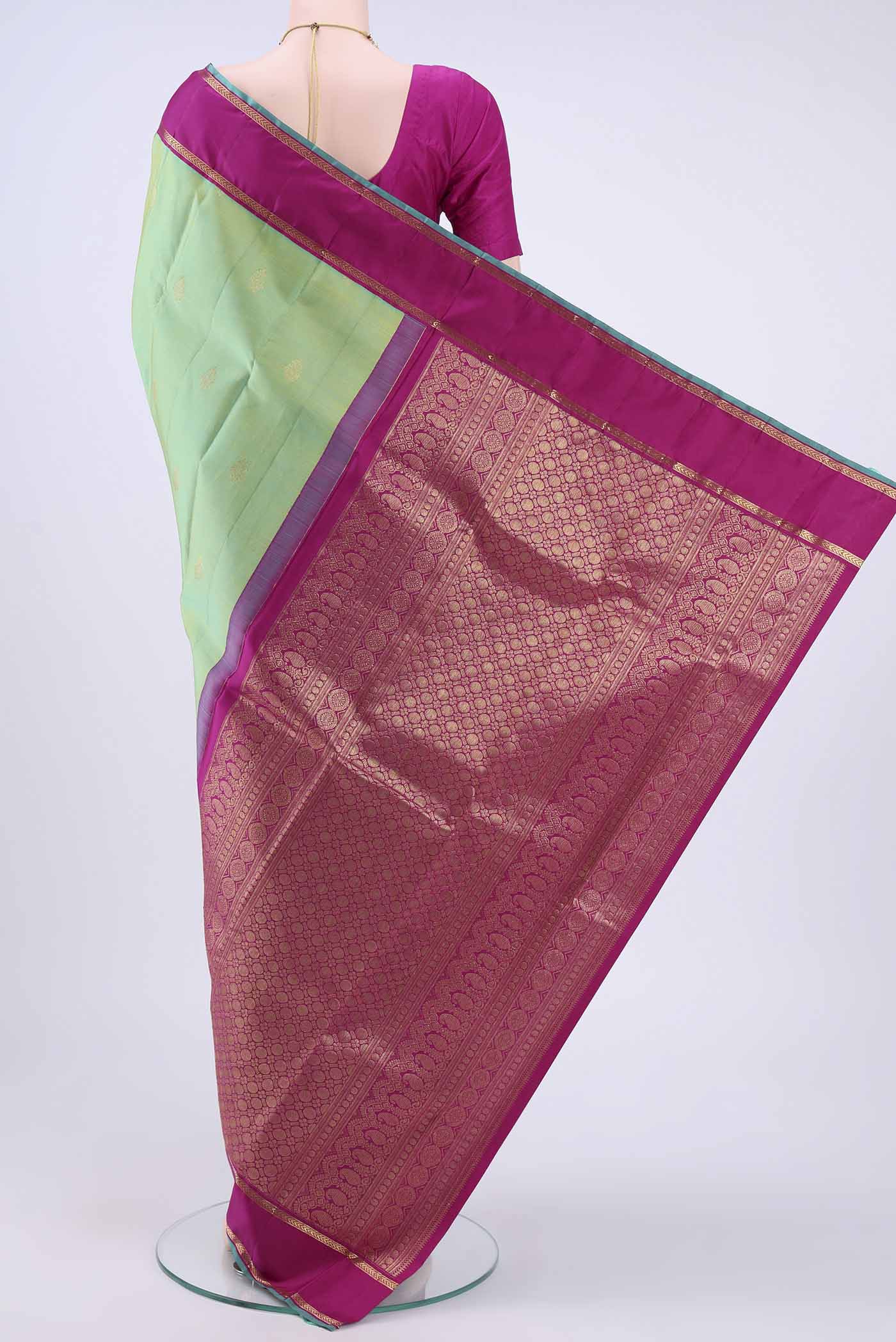 pallu body