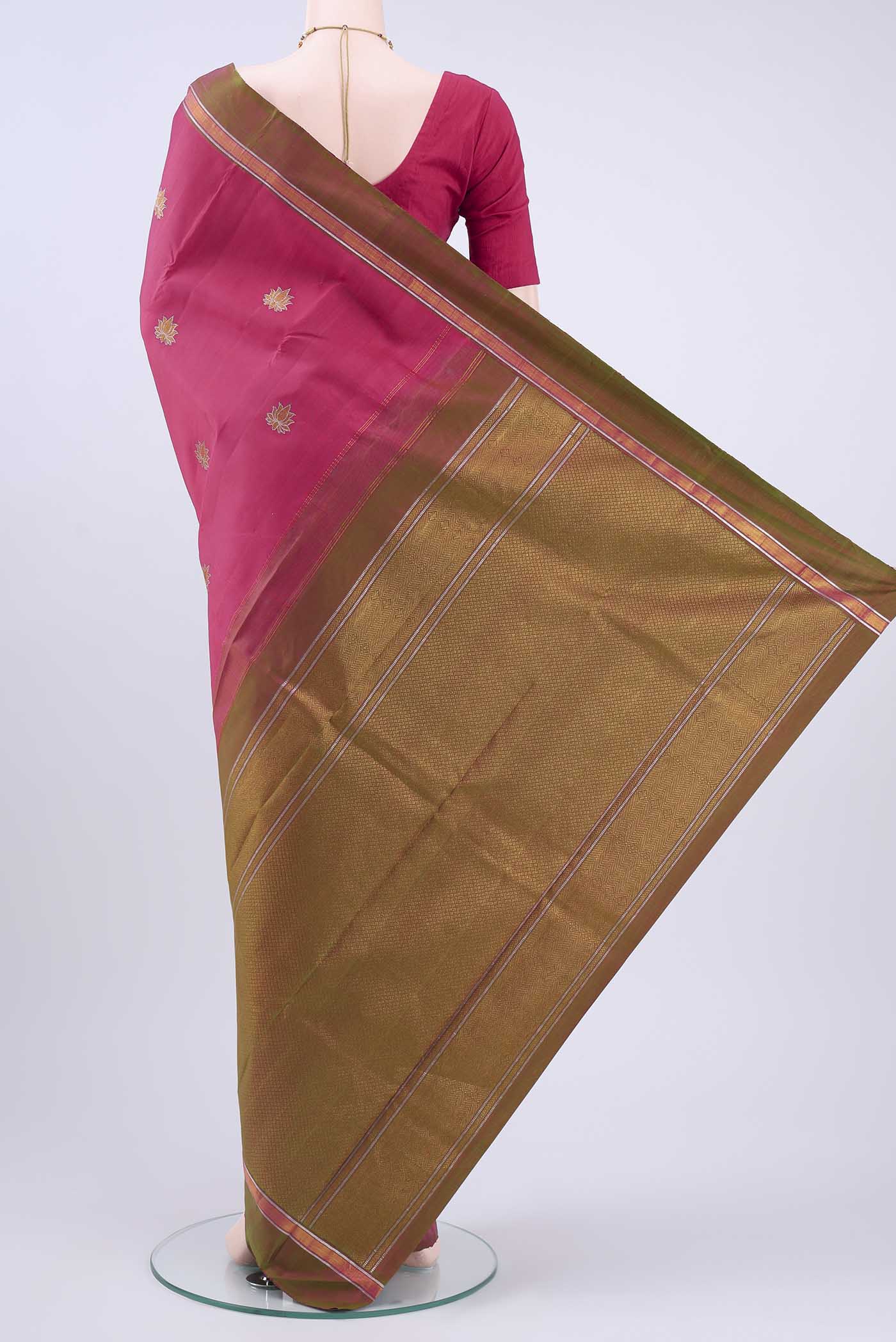 pallu body