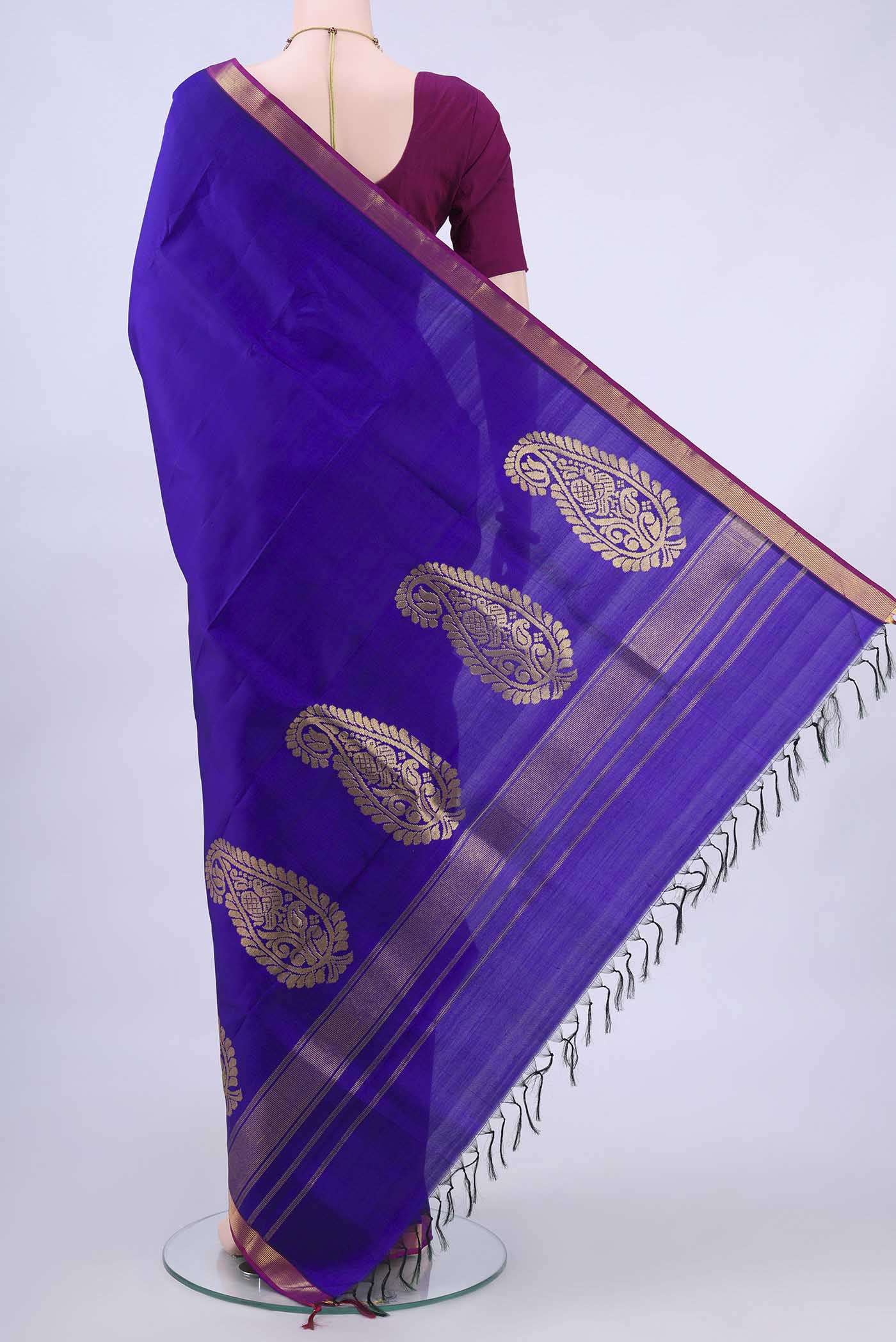 pallu body
