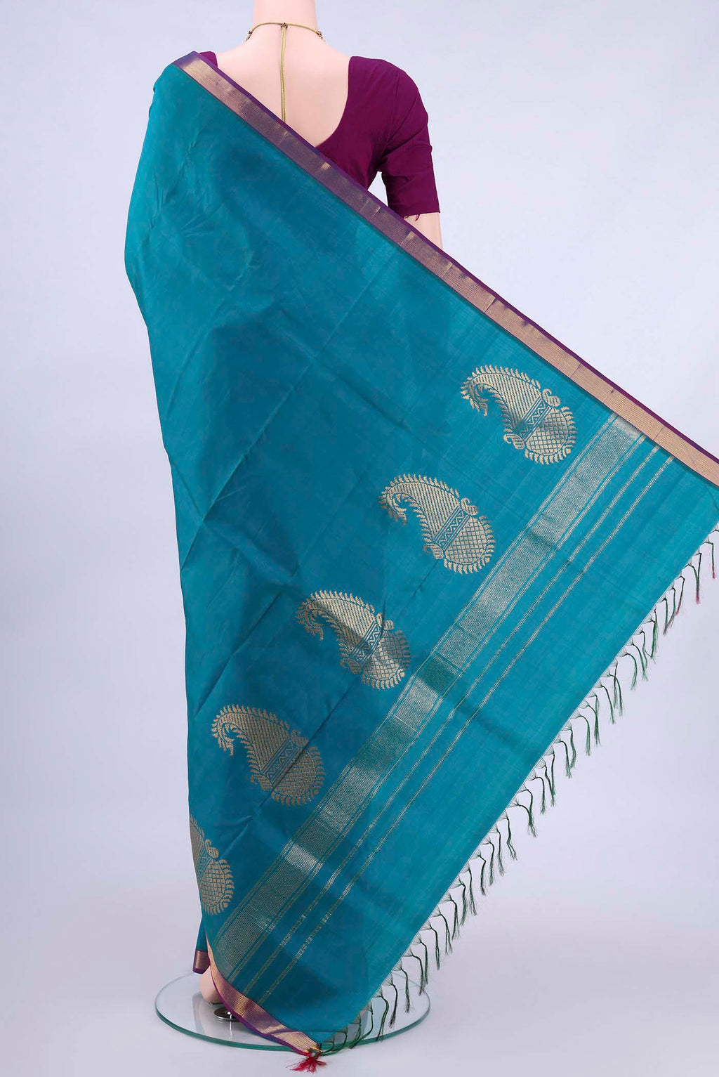 pallu body