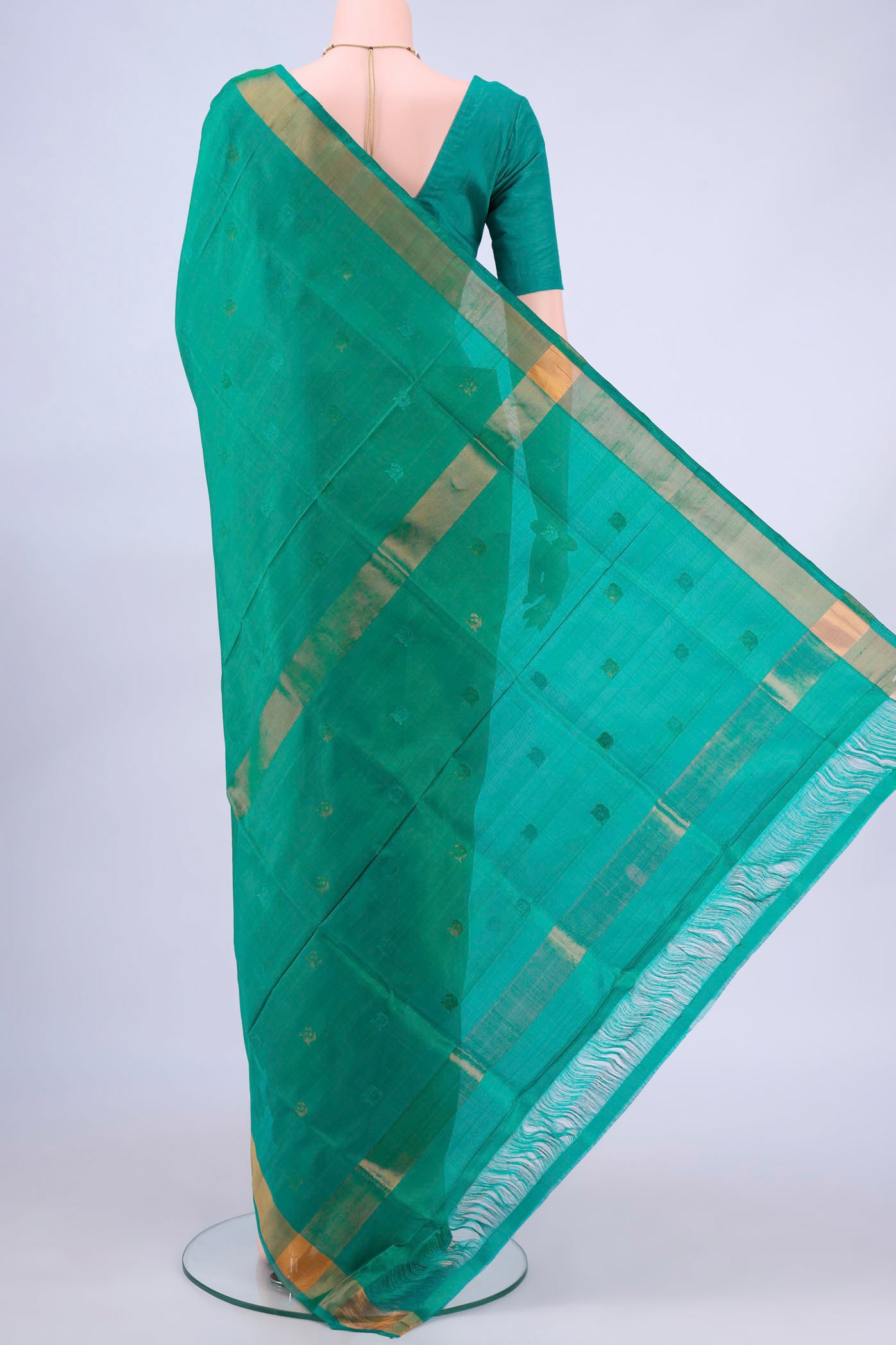 pallu body