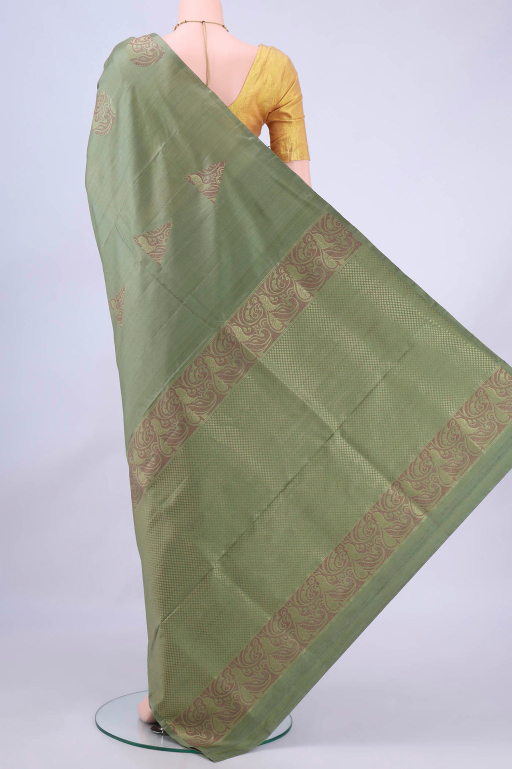 pallu body