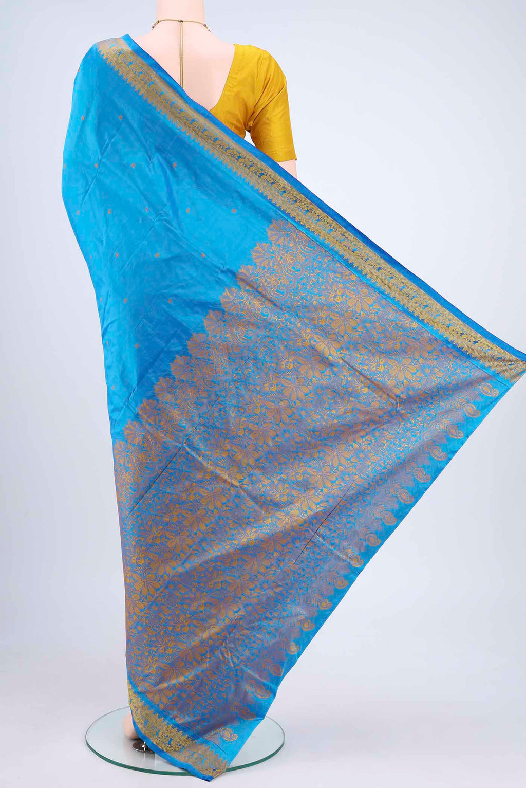 pallu body