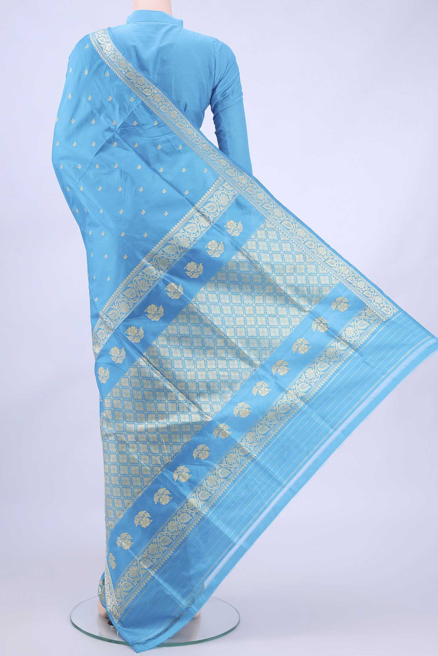 pallu body