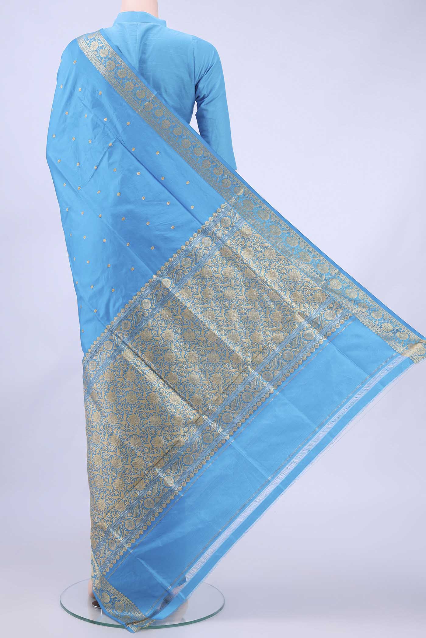 pallu body