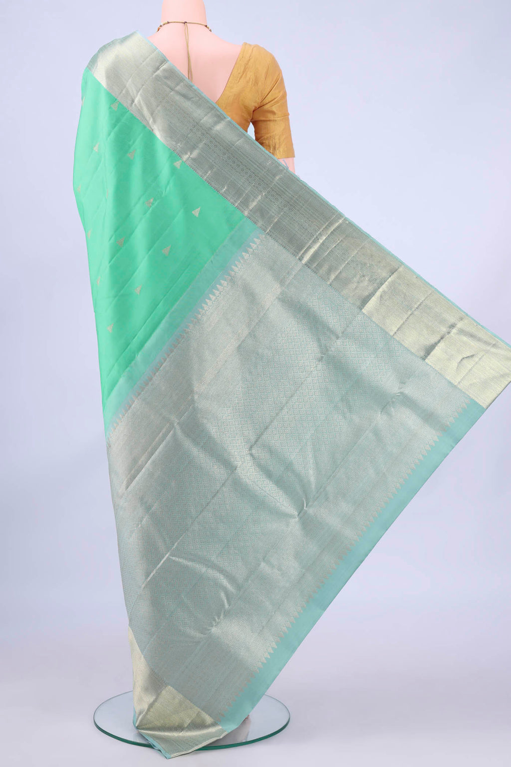 pallu body