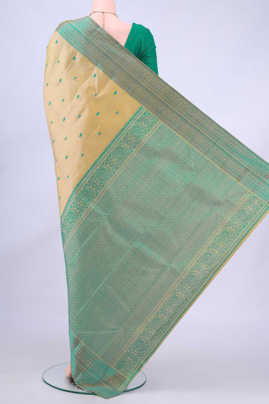 pallu body
