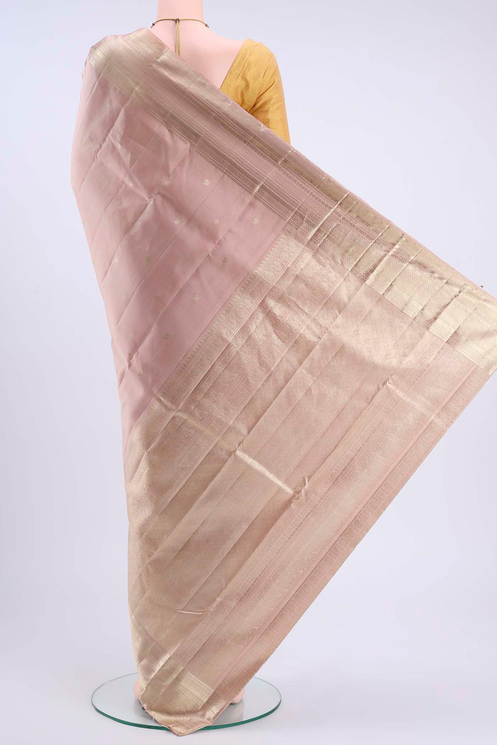 pallu body