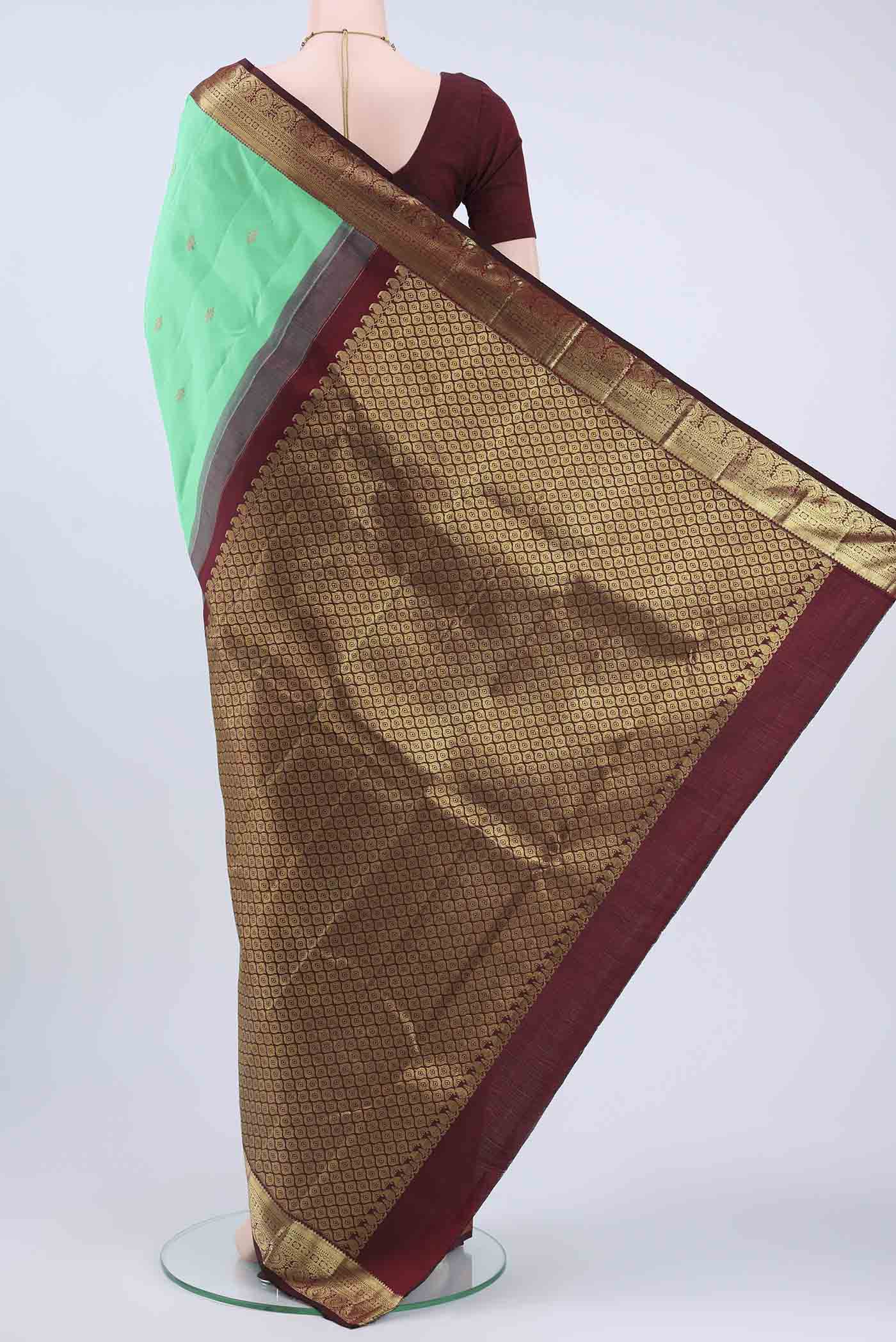 pallu body