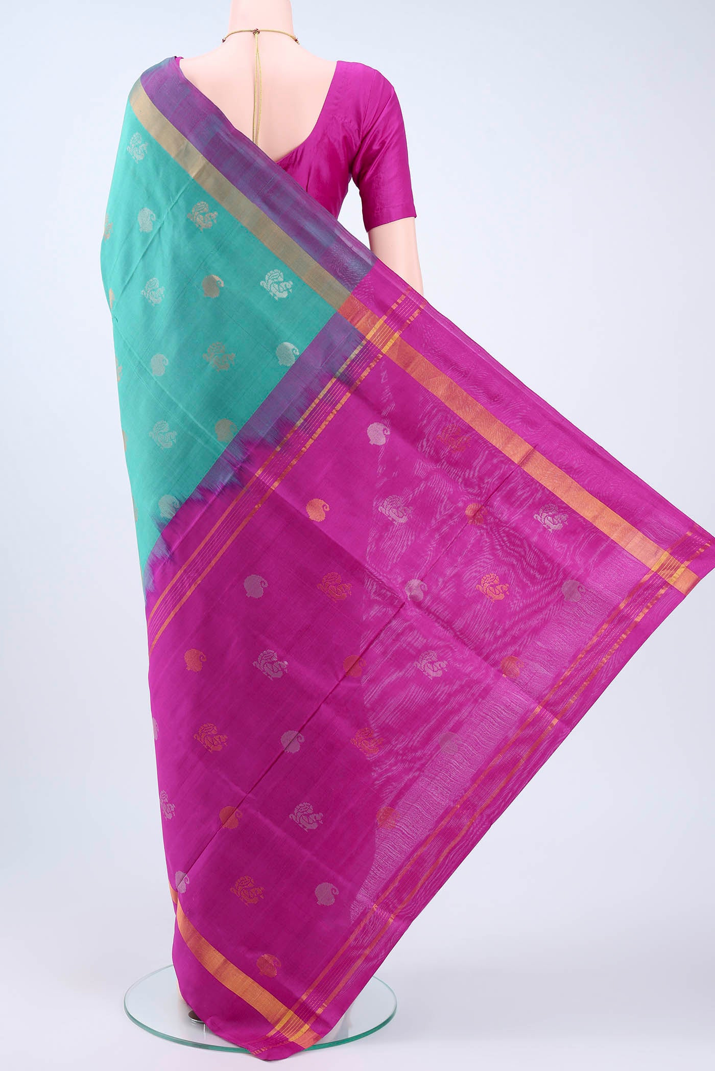 pallu body