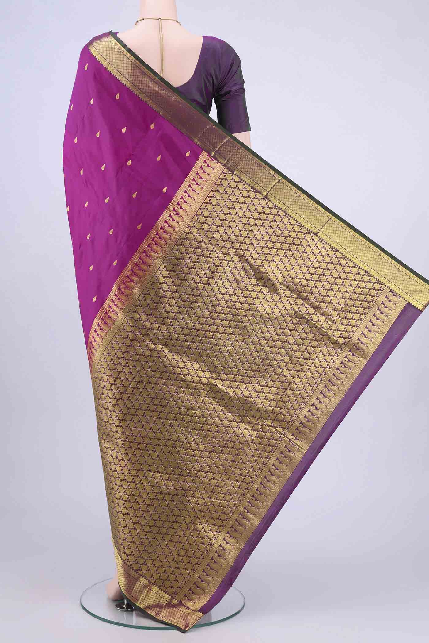 pallu body