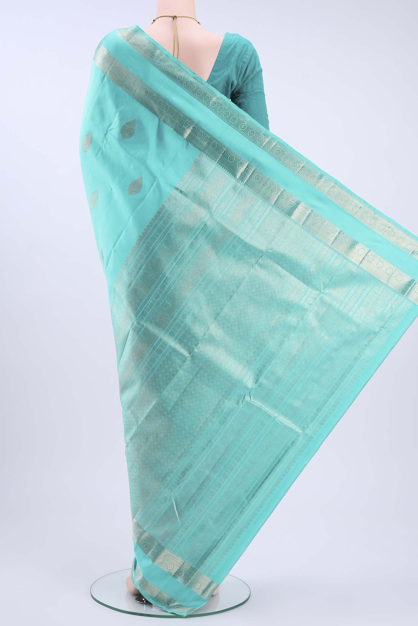 pallu body