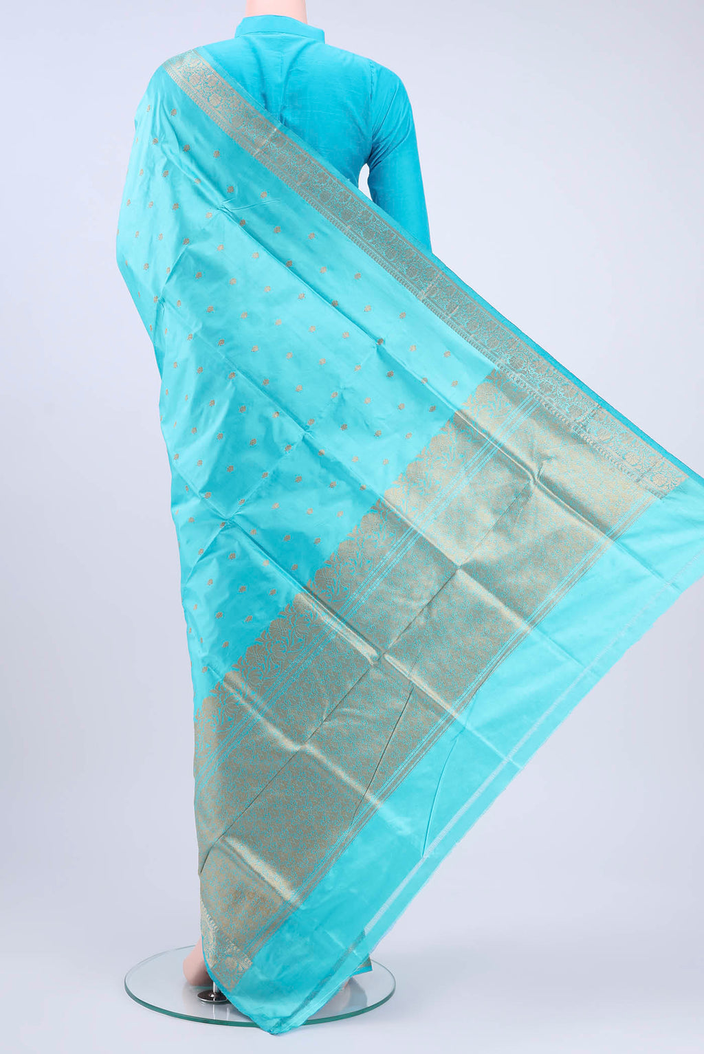 pallu body
