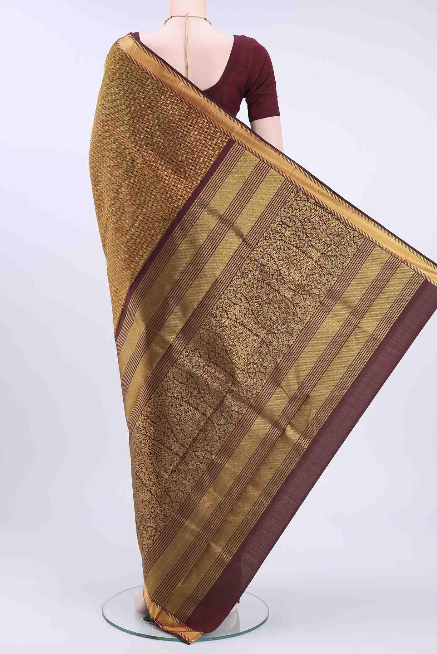 pallu body
