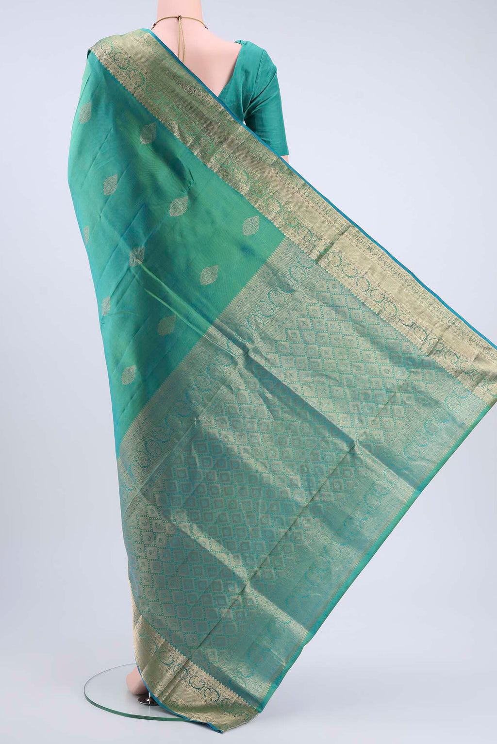 pallu body