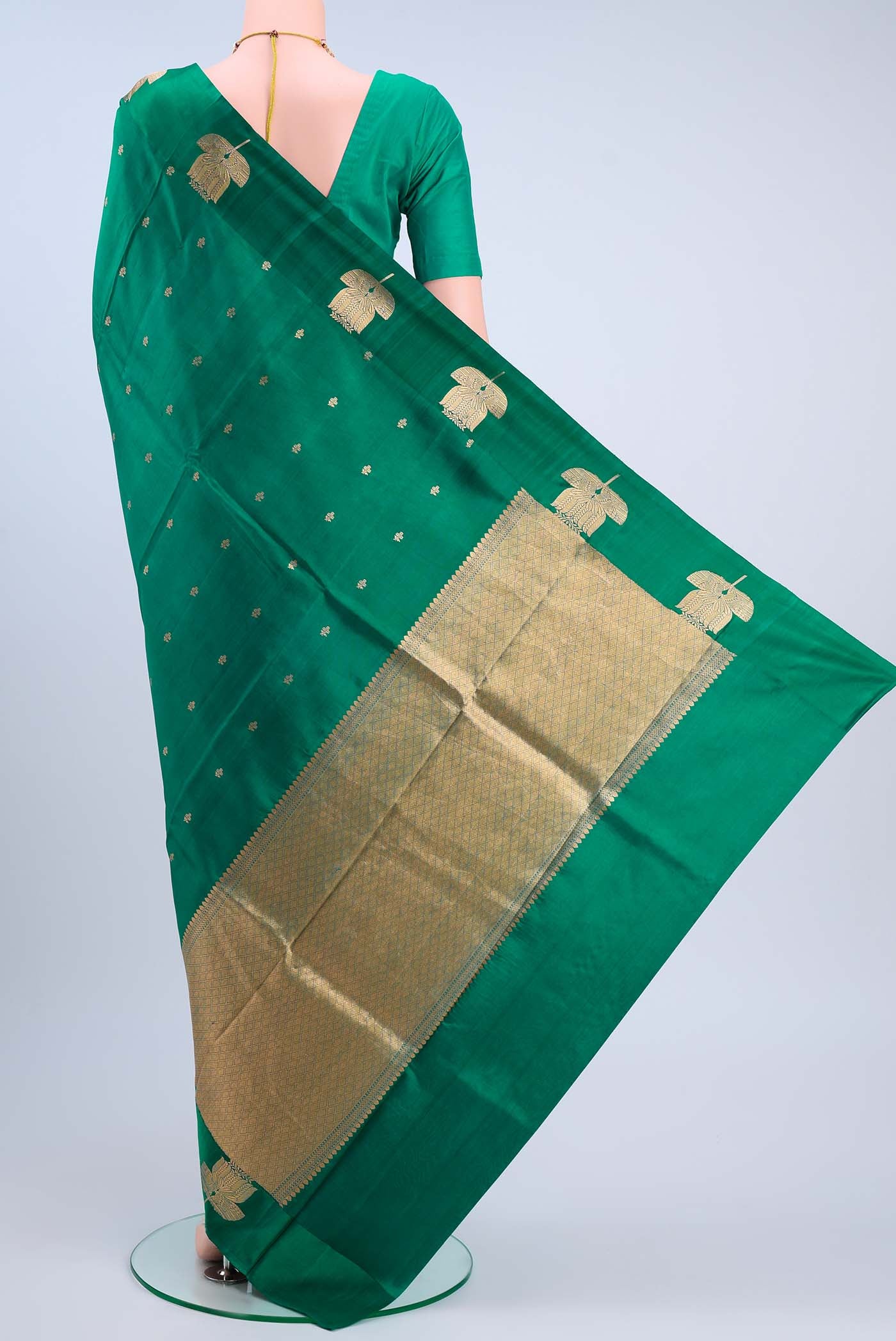 pallu body