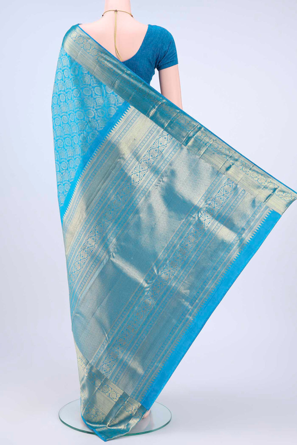 pallu body