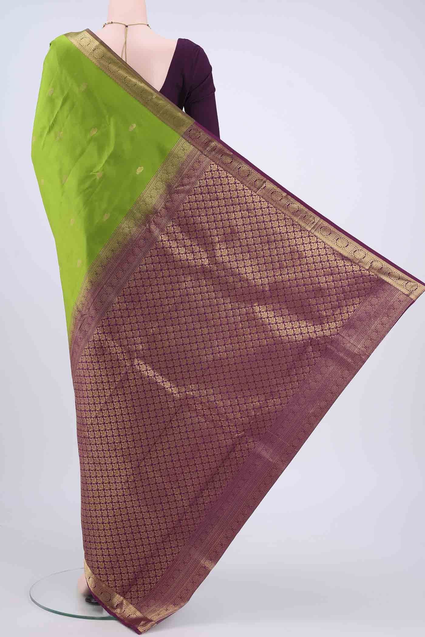 pallu body