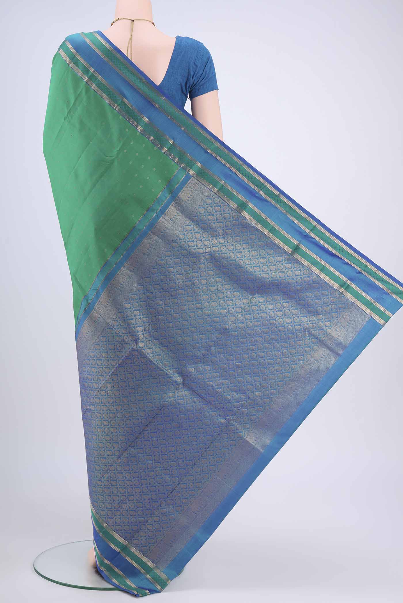 pallu body