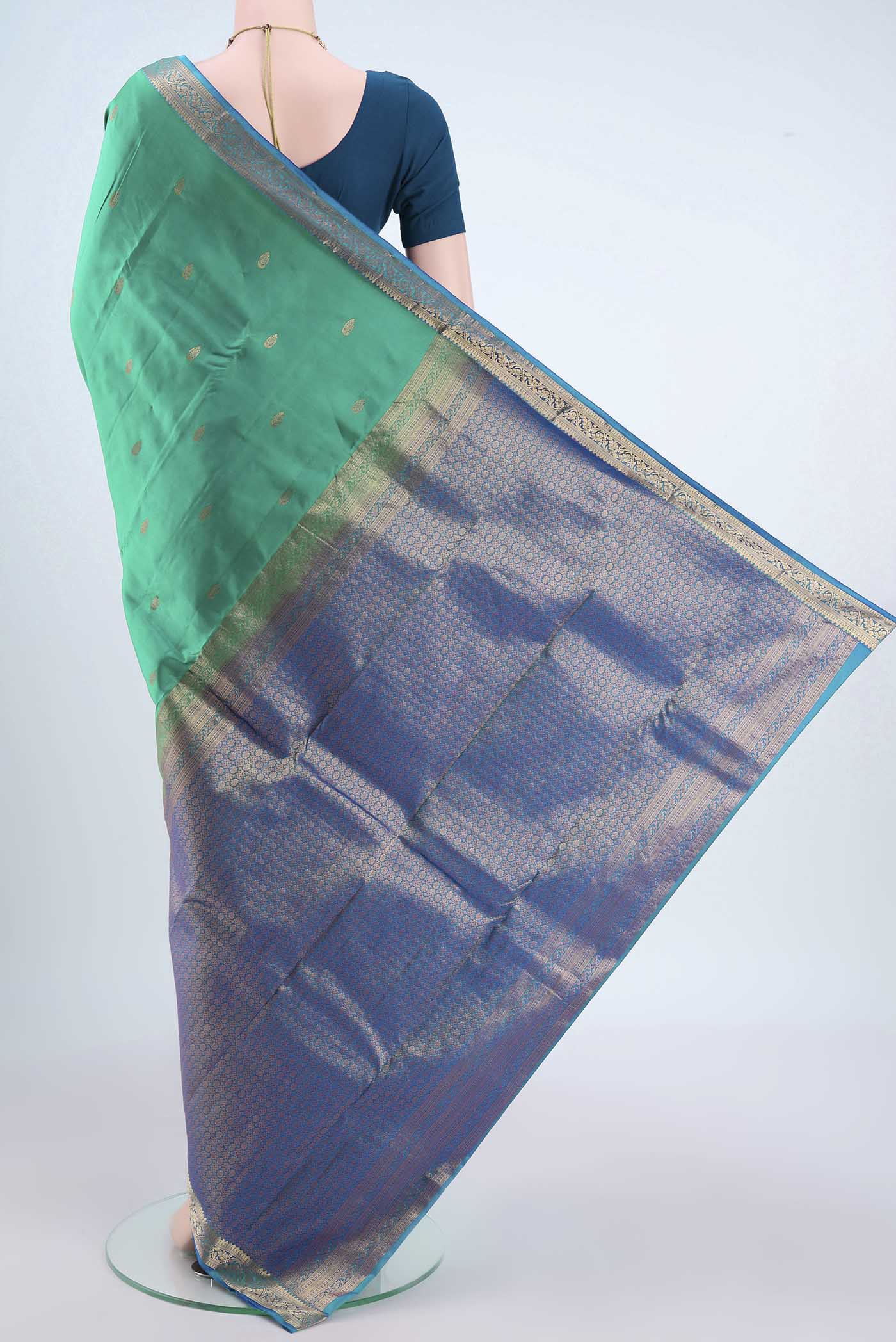 pallu body