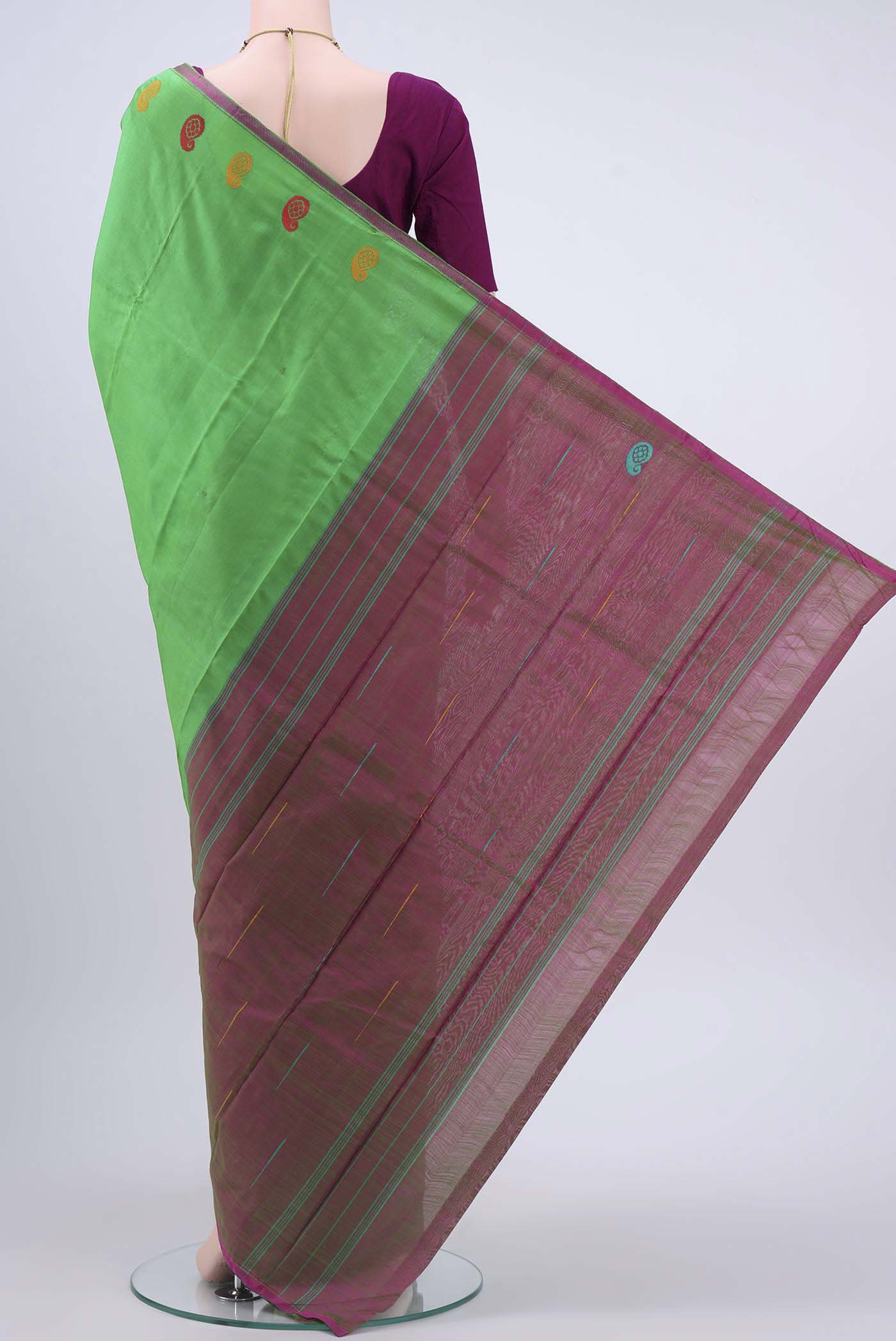pallu body