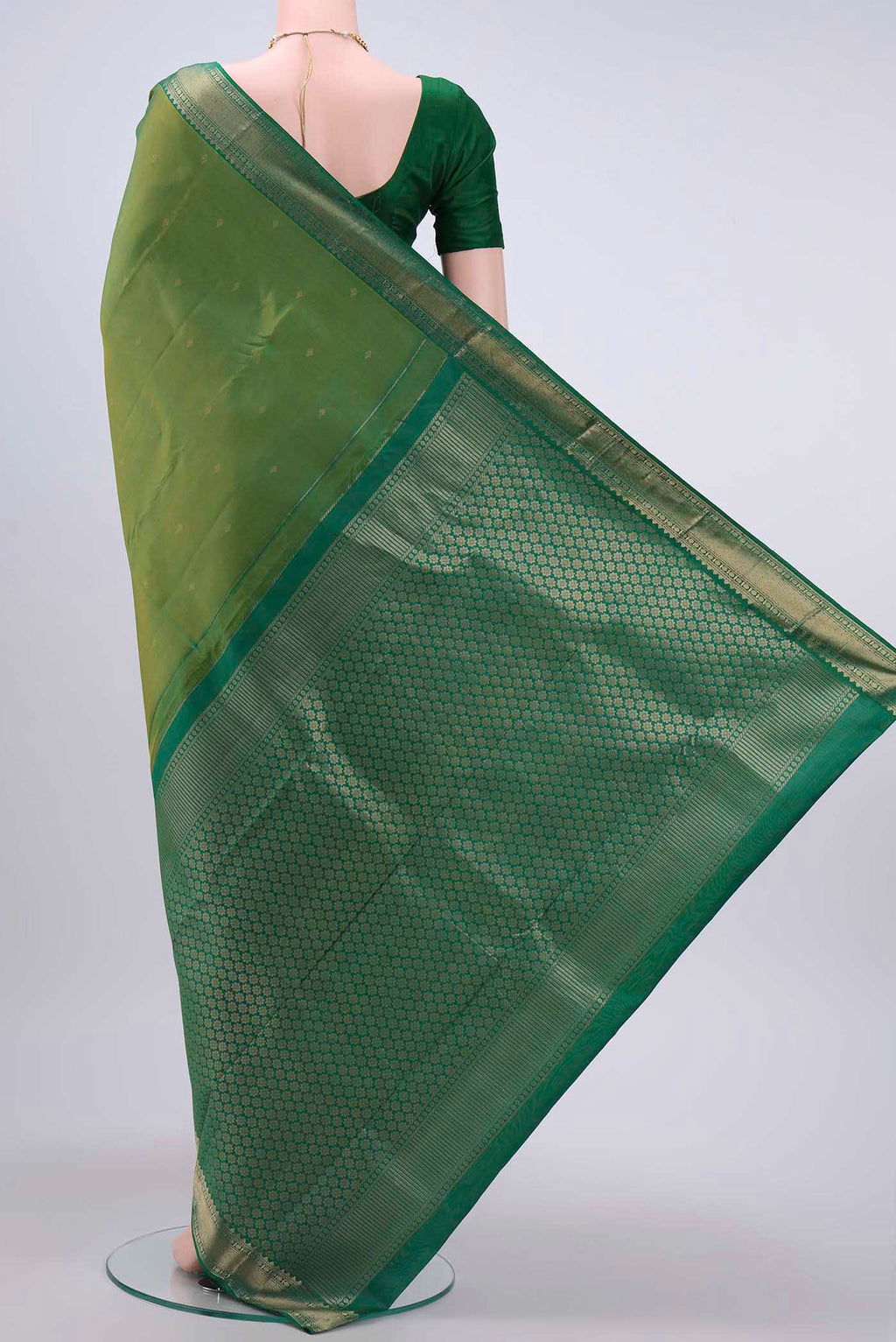 pallu body