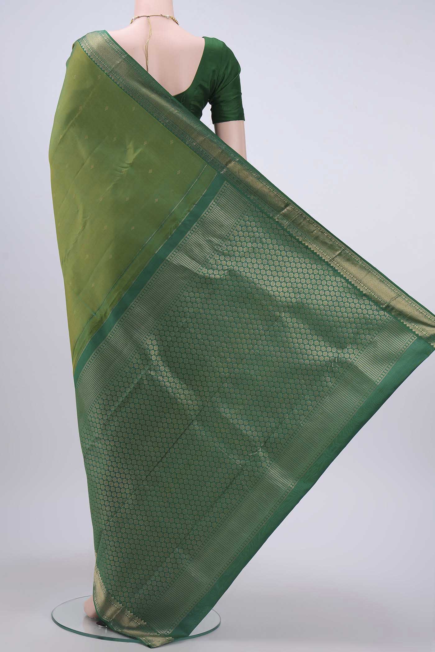 pallu body