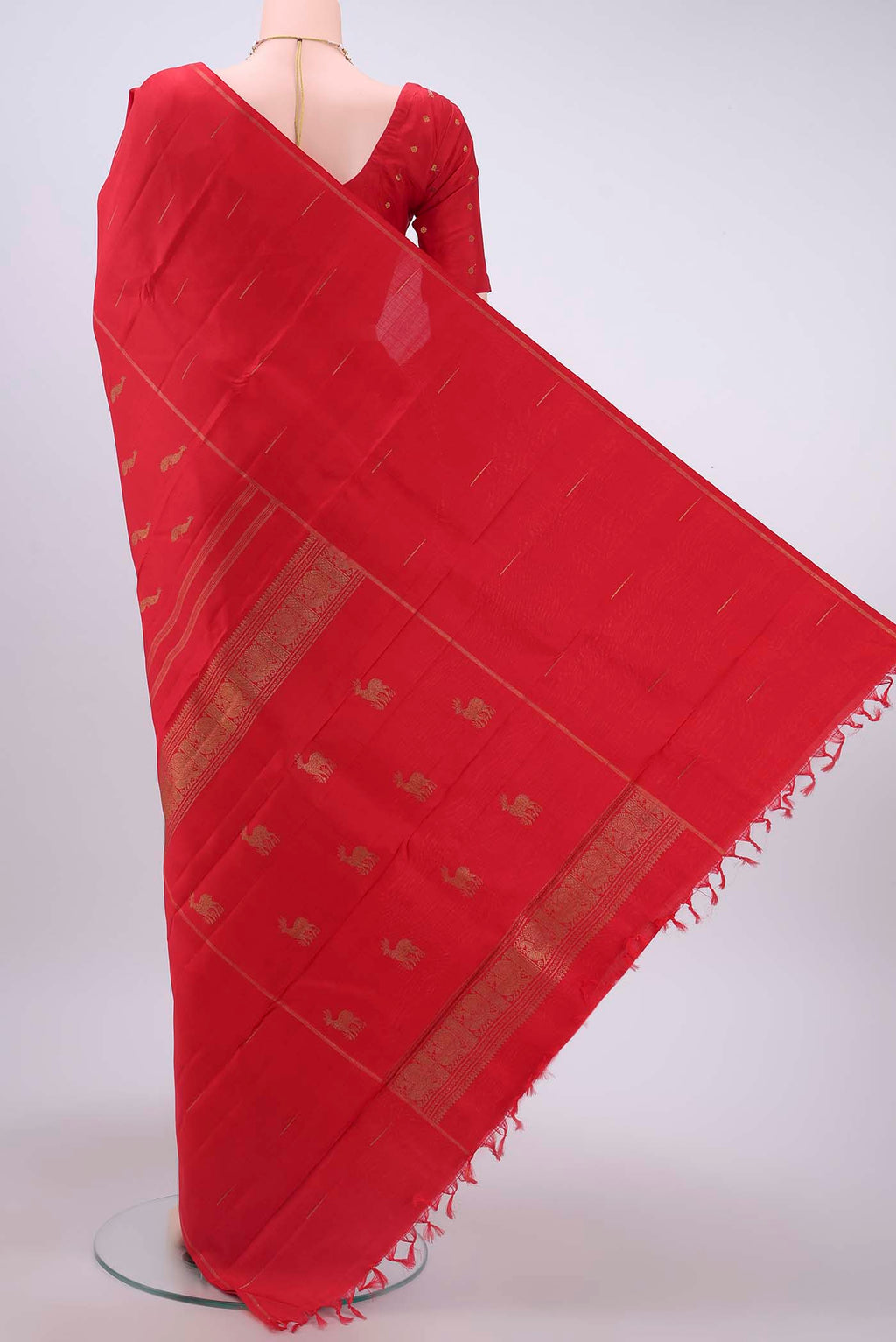 pallu body