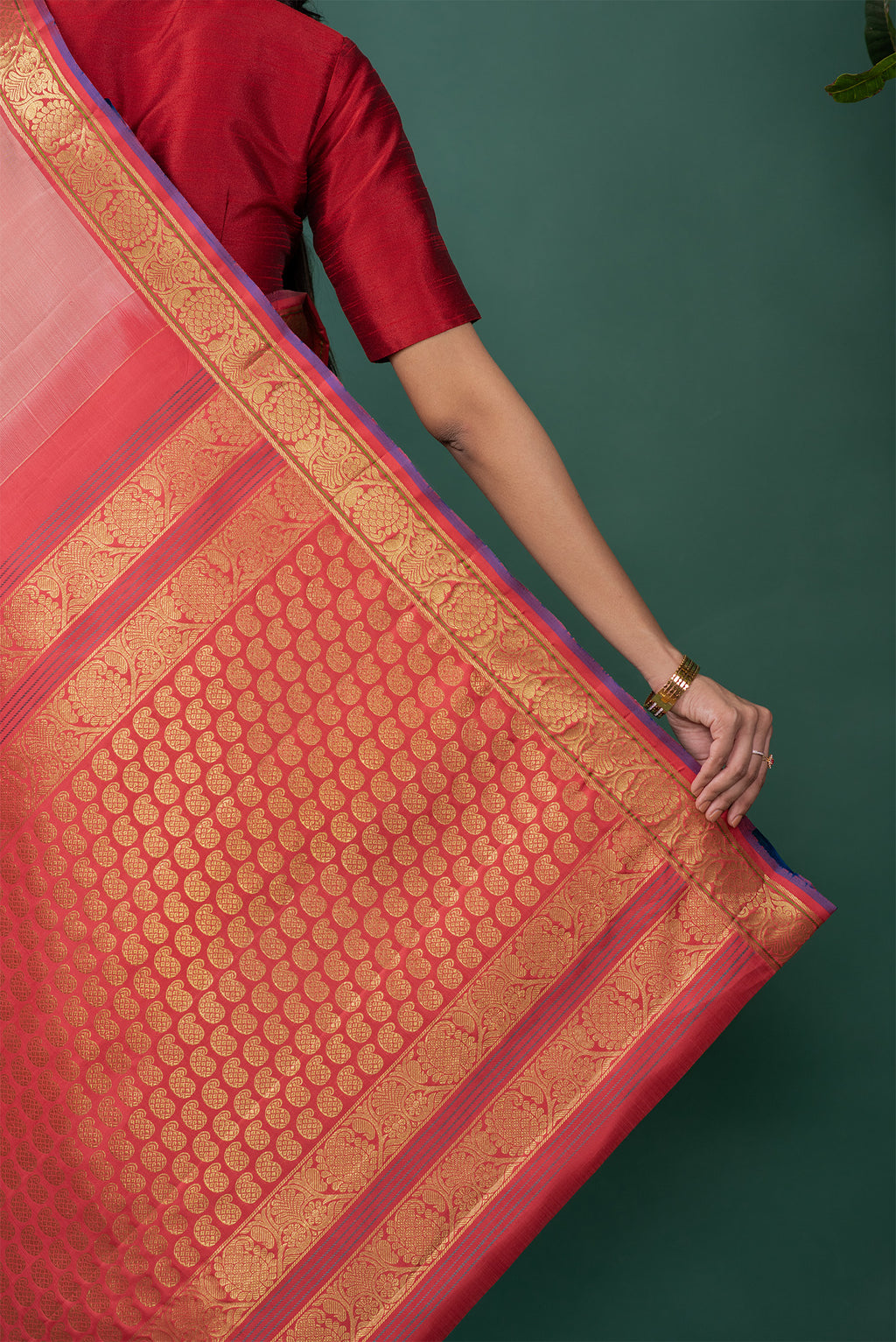 Border image of Mauve Kanchipuram Silk Saree with Zari Butta on the body and Zari Border