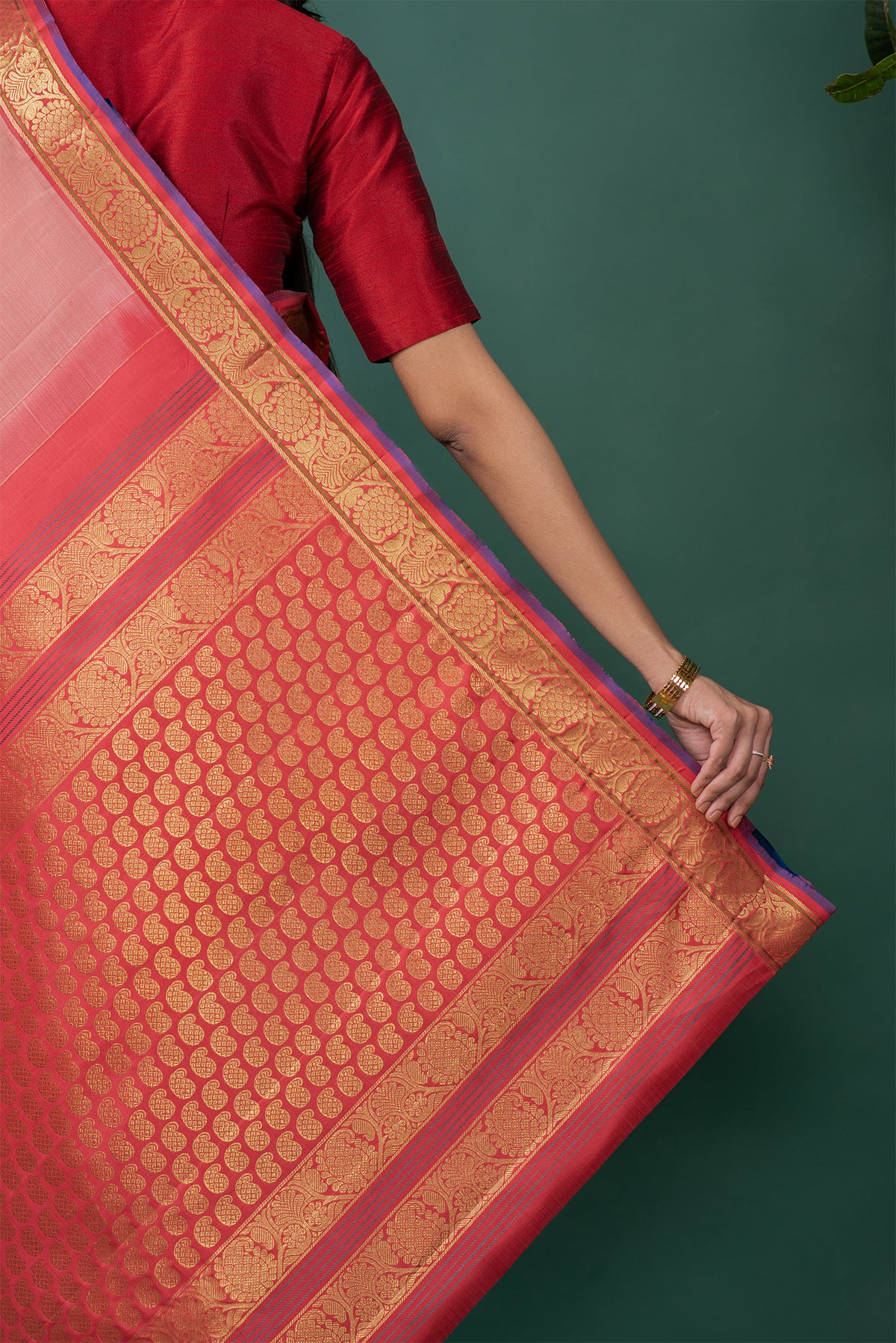 Border image of Mauve Kanchipuram Silk Saree with Zari Butta on the body and Zari Border