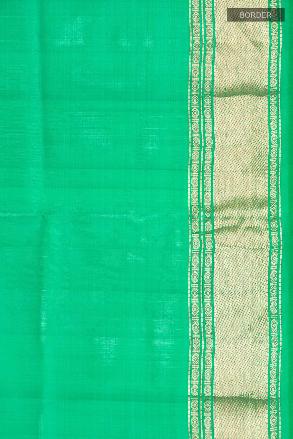 Border image of Green Raw Silk Saree with Plain Body and Zari Border. 